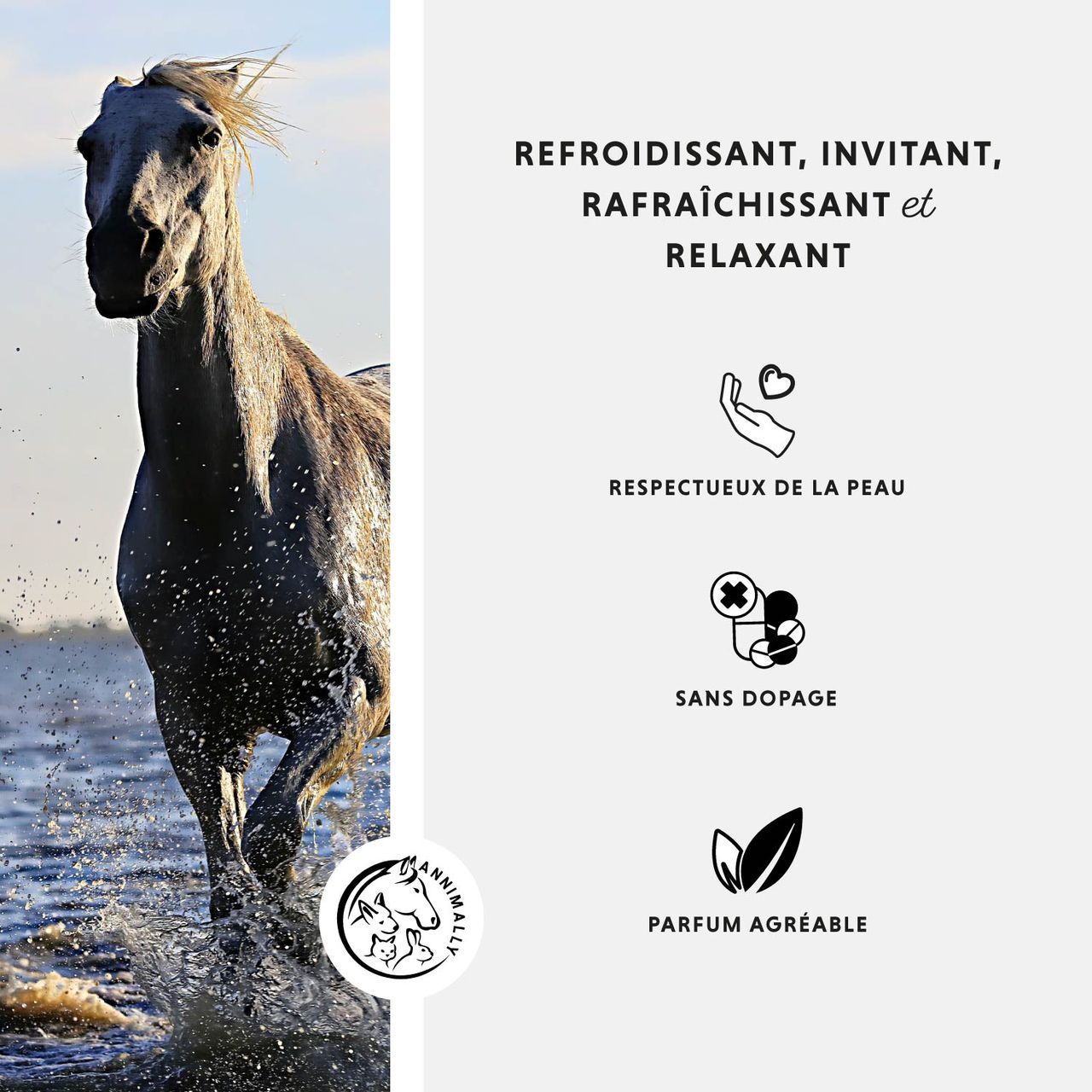 Cheval dans l'eau. Logo. Texte: Refroidissant, invitant, rafraîchissant et relaxant. Icônes.