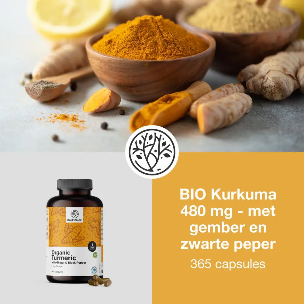 BIO Kurkuma 480 mg met gember en zwarte peper. Fles met capsules. 365 capsules. HealthyWorld logo.