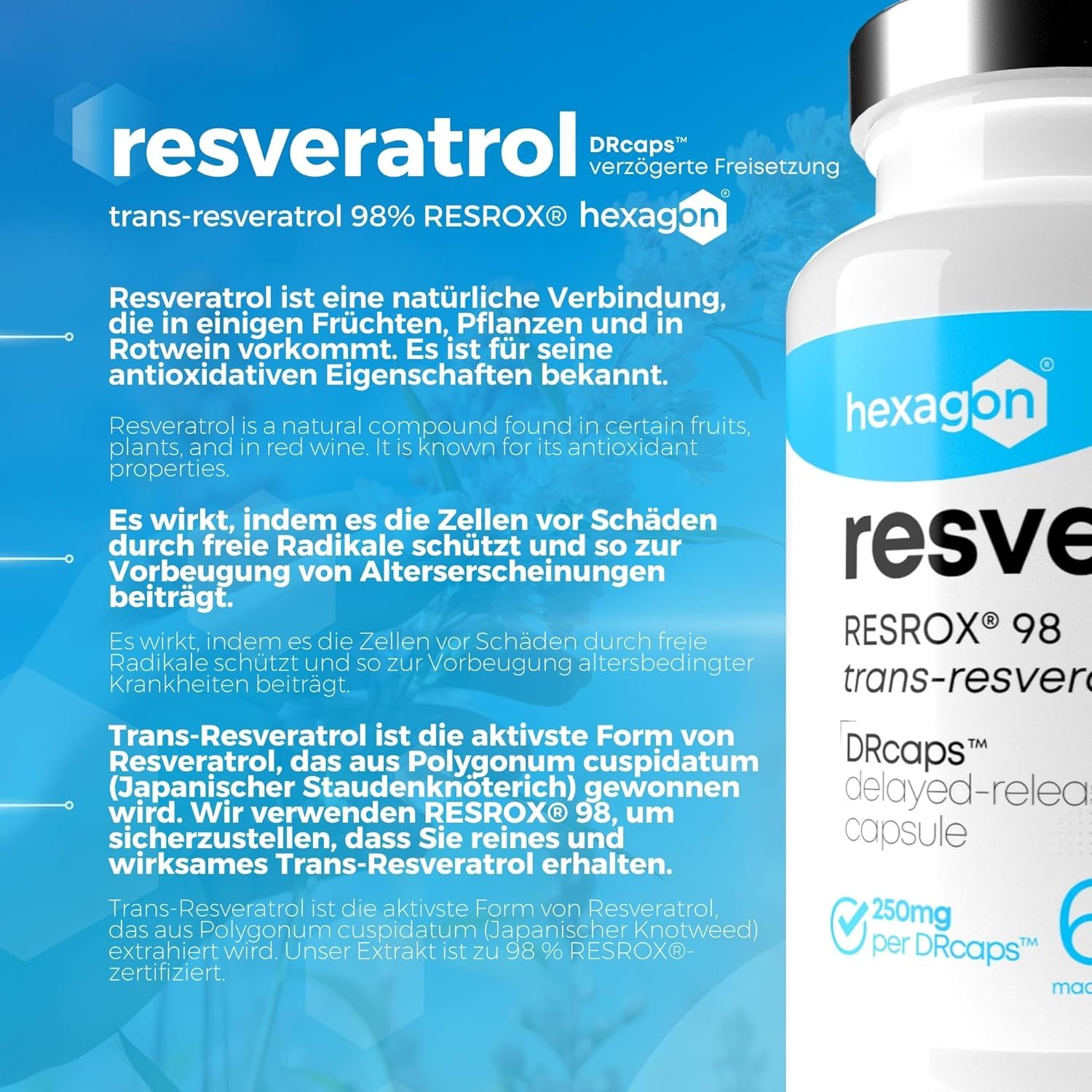 Capsule Hexagon Resveratrol : 60 capsules, 250 mg par DRcaps, libération prolongée. Informations sur les antioxydants.