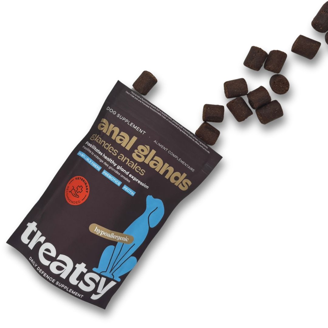 Sachet de complément alimentaire. Comprimés bruns qui tombent. Texte : Anal Glands, hypoallergénique, recommandé par les vétérinaires.