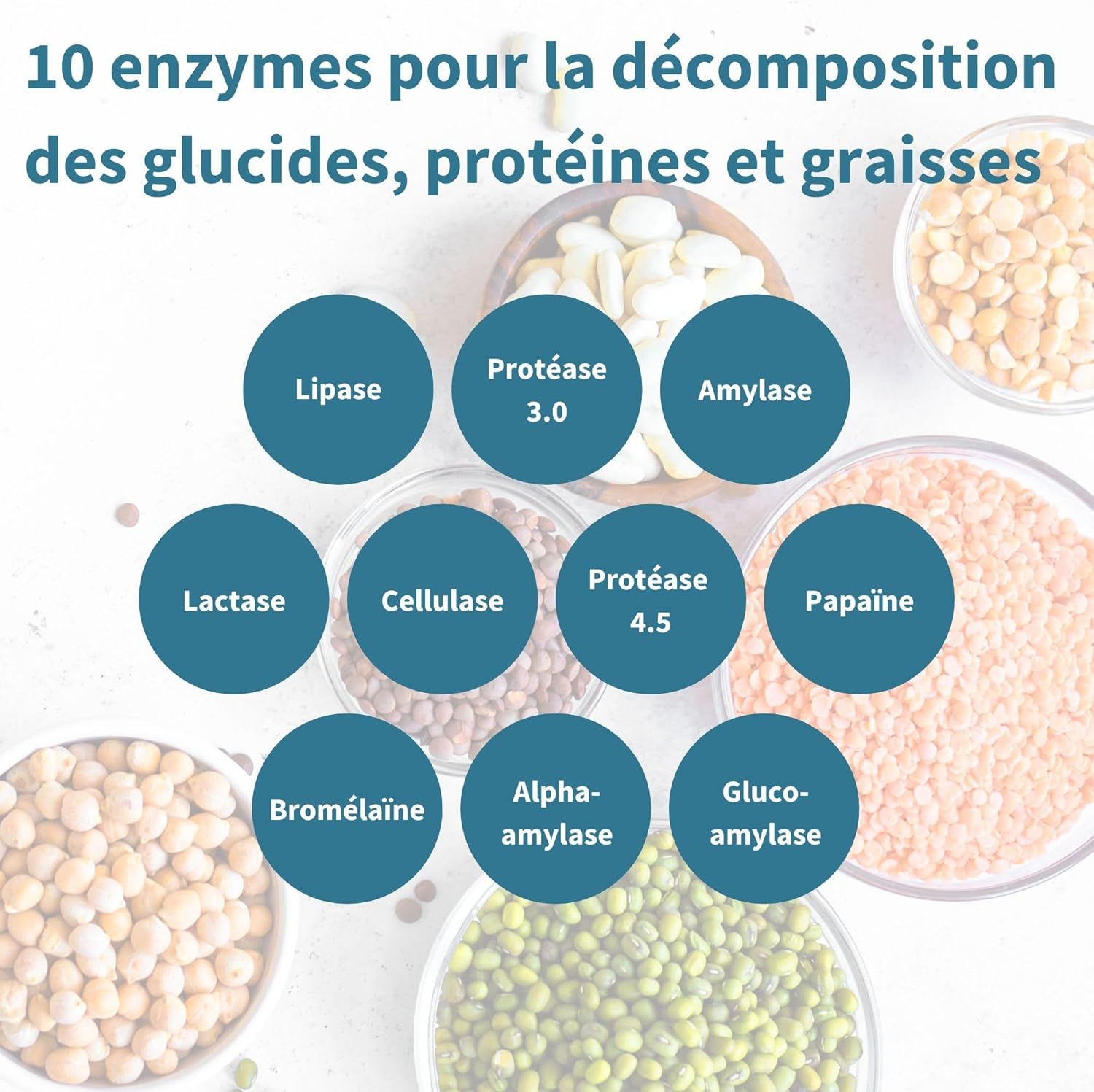 Graphique avec 10 enzymes : Lipase, Protéase 3.0, Amylase, Lactase, Cellulase, Protéase 4.5, Papaïne, Bromélaïne, Alpha-amylase, Gluco-amylase.