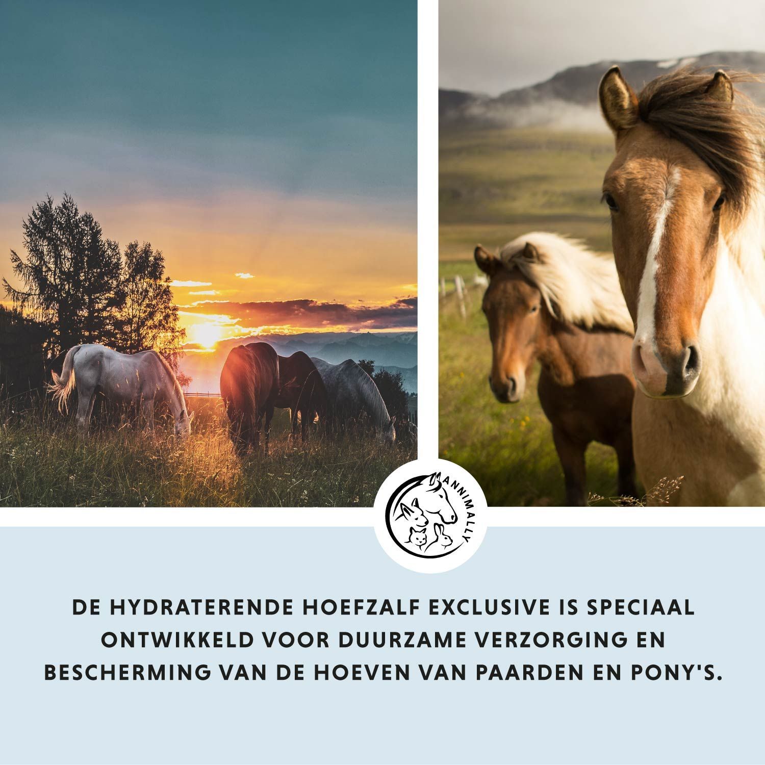 Twee paarden in een veld. Tekst: De hydraterende hoefzalf exclusive is speciaal ontwikkeld. Logo.