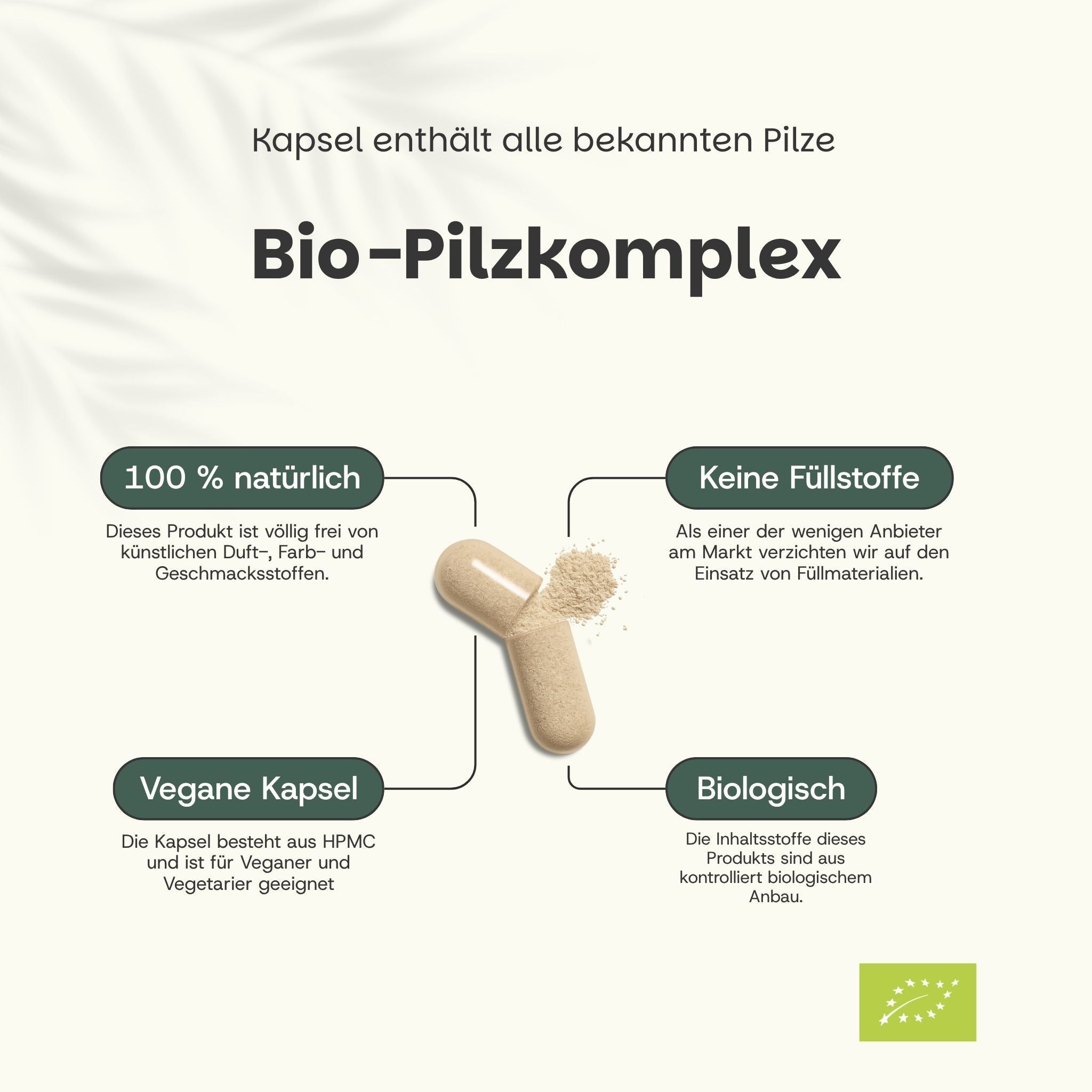 Une capsule de complexe de champignons bio, 100% naturelle et sans charges. Capsule végane en HPMC.