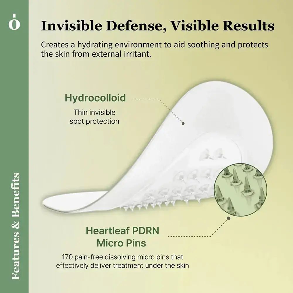 Afbeelding met productkenmerken. Toont een patch met micro-pins. Tekst: Heartleaf PDRN Micro Pins, 170 pins.