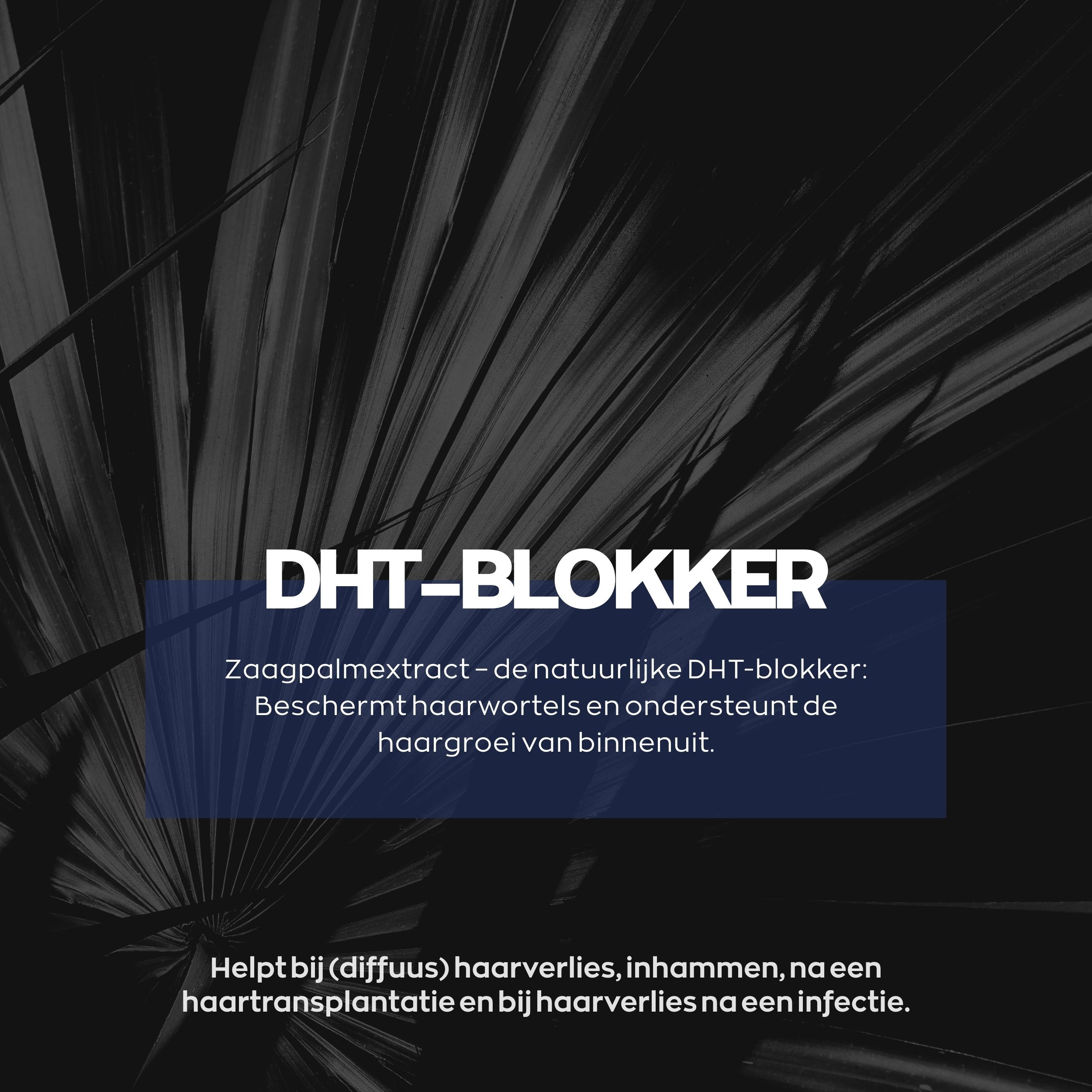 Blauwe achtergrond met tekst: DHT-blokker. Tekst over zaagpalmetto-extract. Helpt bij haaruitval.