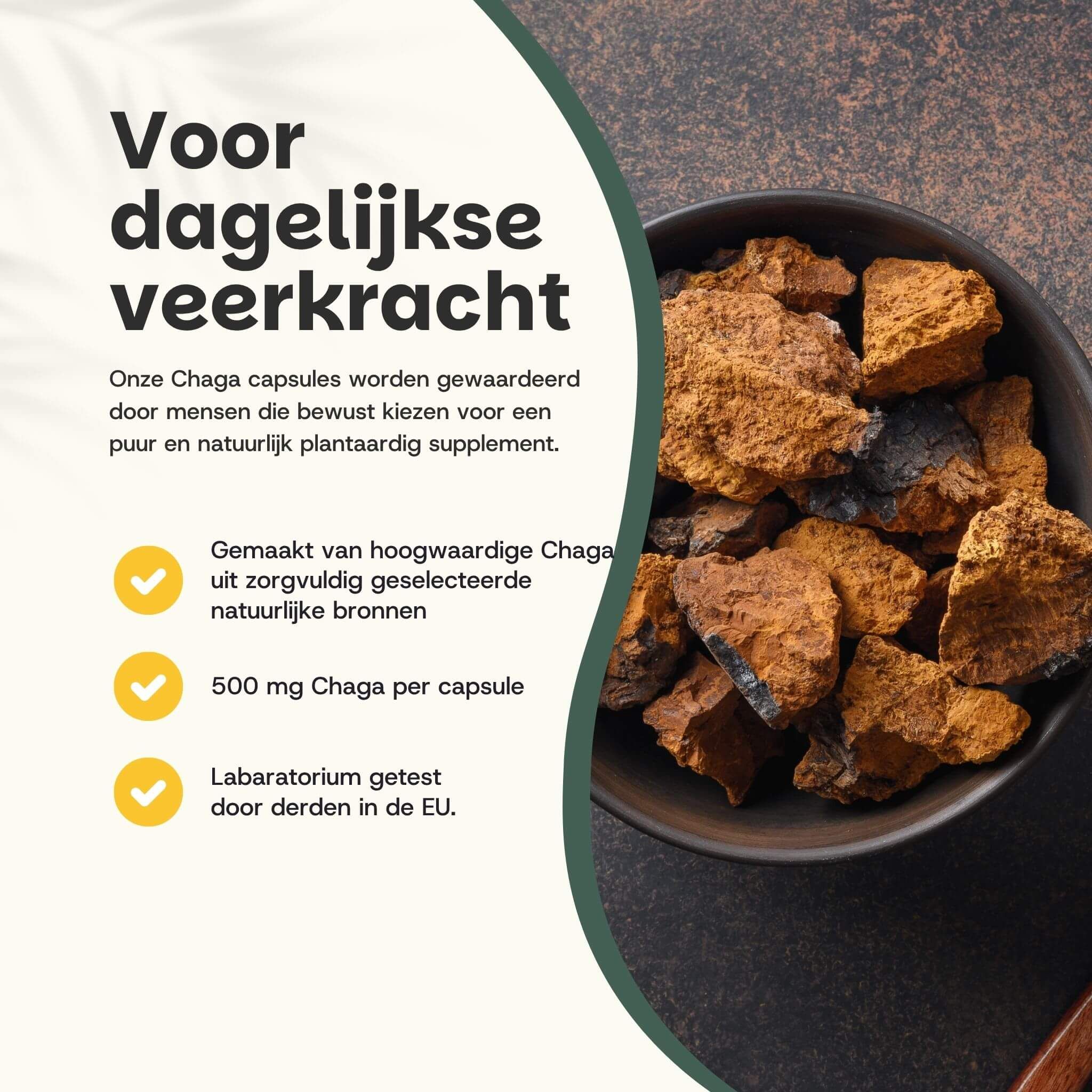Chaga-paddenstoelstukken in een kom. Tekst: 500 mg Chaga per capsule, getest in de EU.