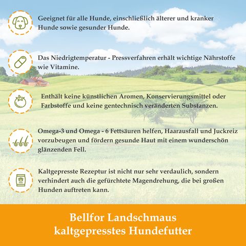 Infographic met iconen en tekst. Beschrijft de voordelen van hondenvoer.