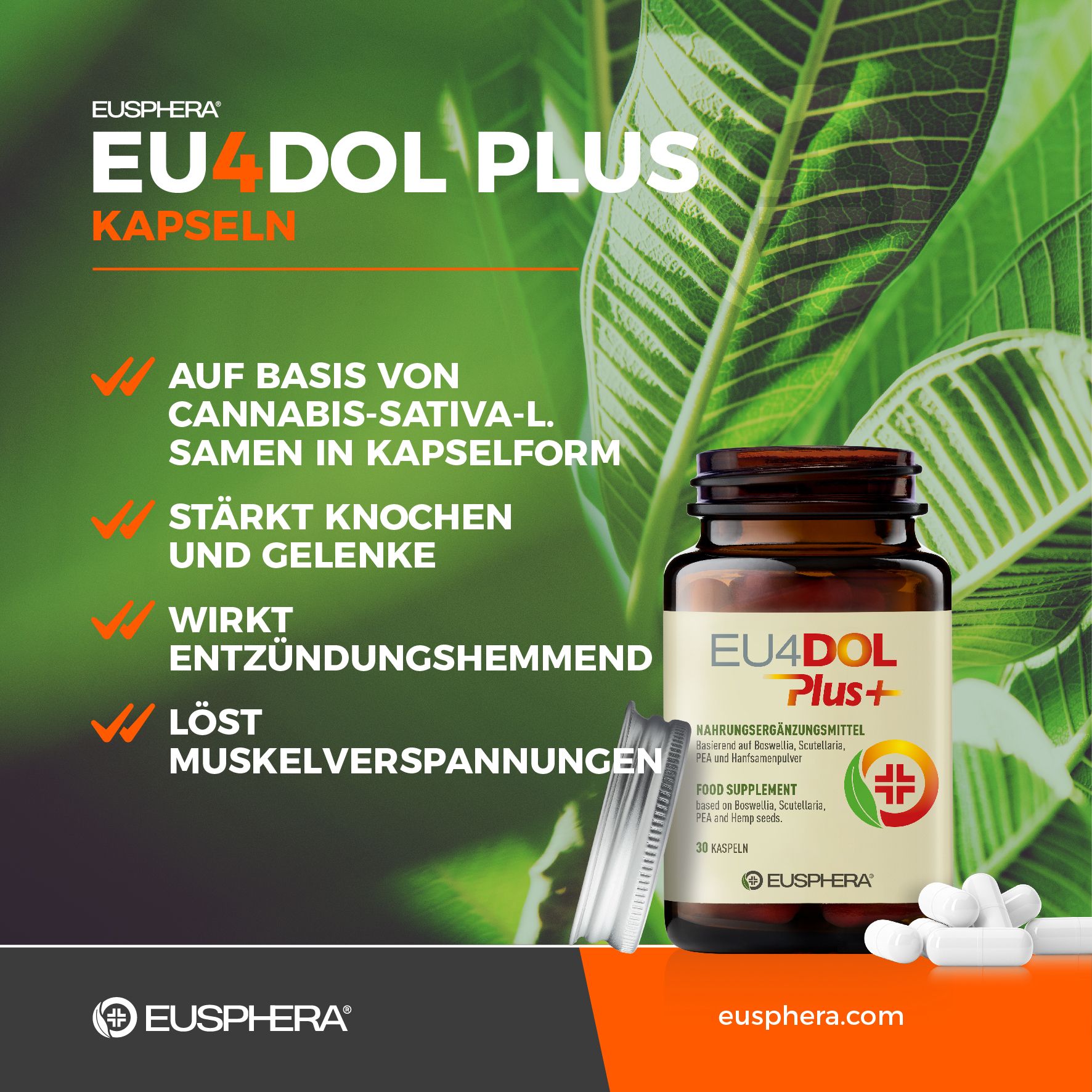 Complément alimentaire Boswelia pour les os et les articulations | Eusphera - EU4DOL PLUS