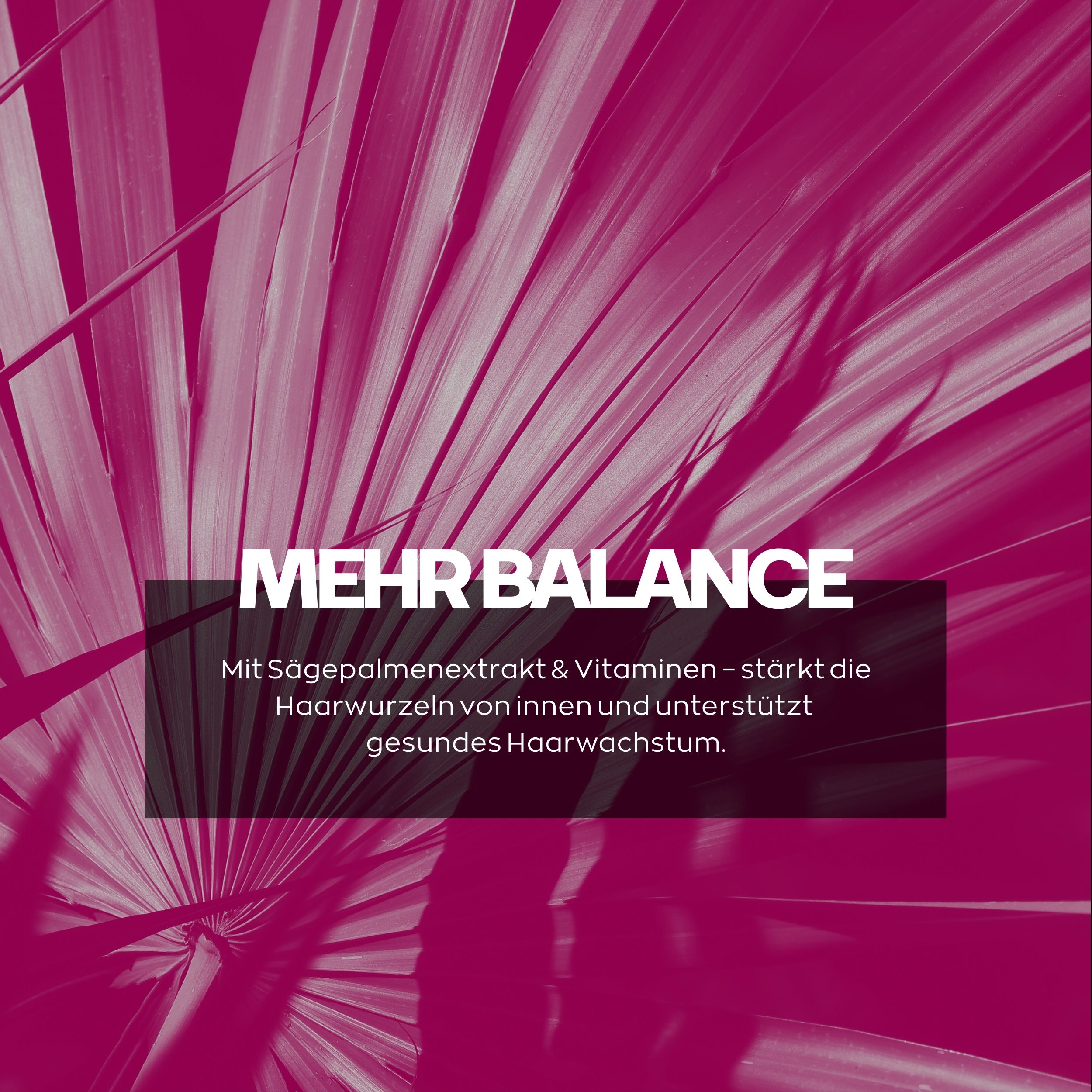 Roze achtergrond met palmbladeren. Tekst: Meer balans. Met zaagpalmenextract & vitaminen. Versterkt haarwortels.