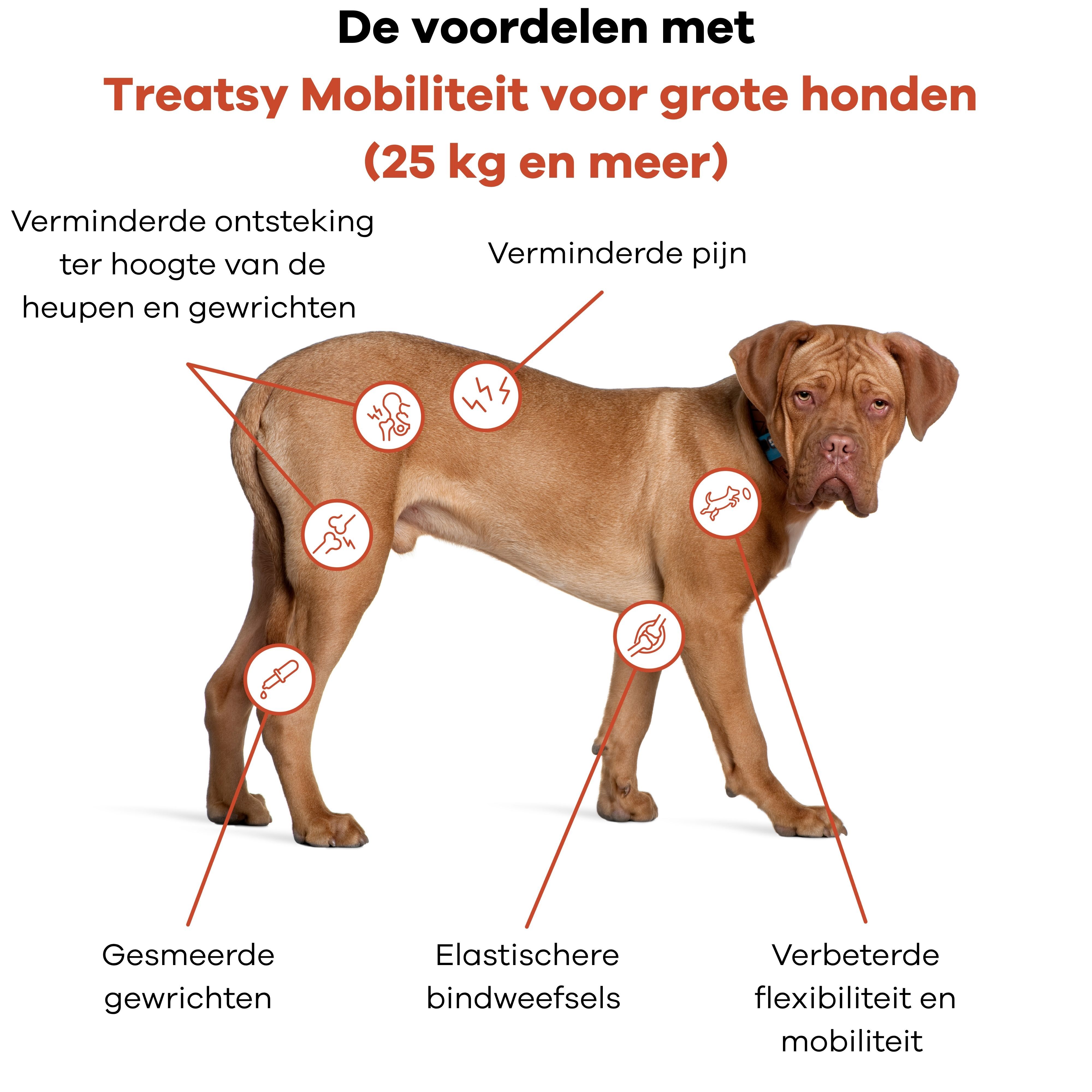 Treatsy Voedingssupplement – Mobiliteit voor grote honden (+25kg)