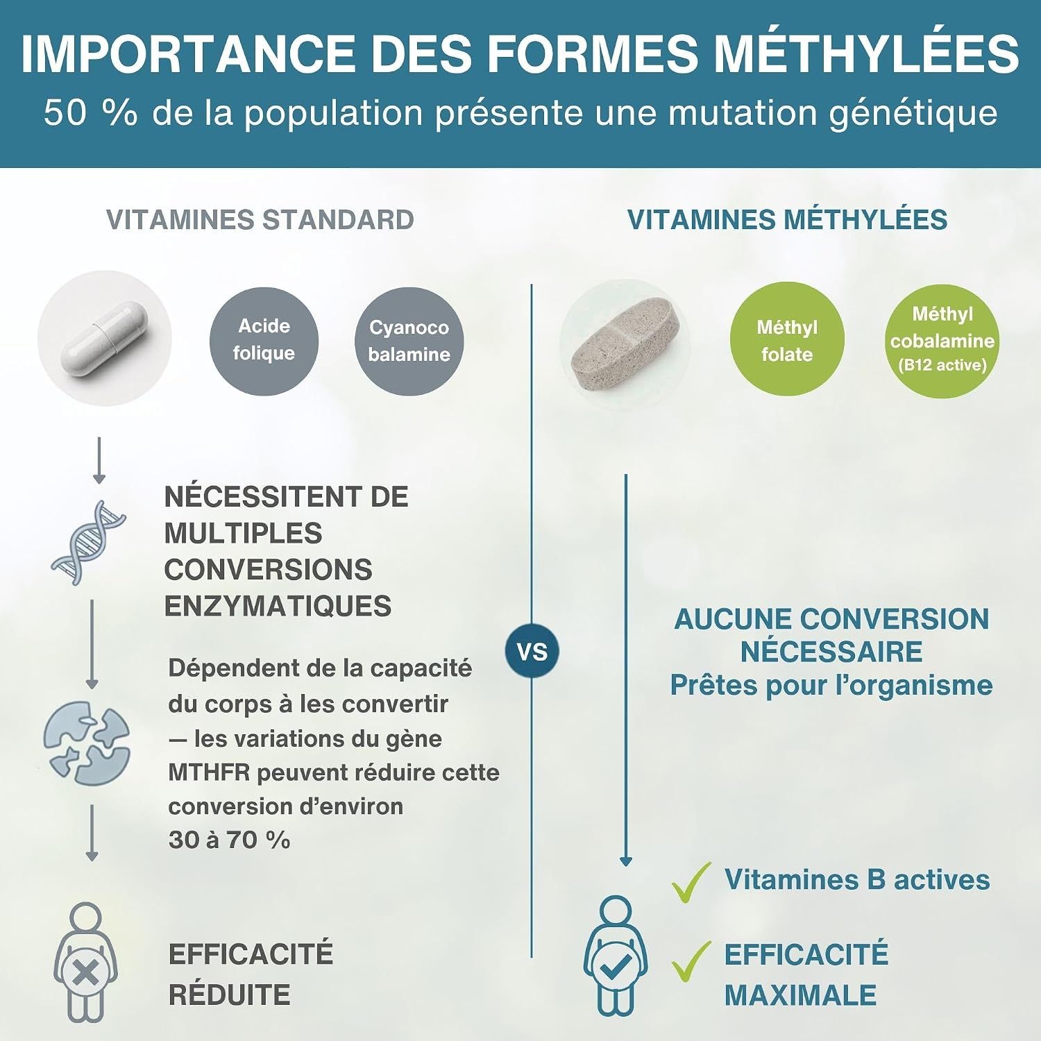 Comparaison des vitamines standard et méthylées. Les formes méthylées ne nécessitent pas de conversion enzymatique.