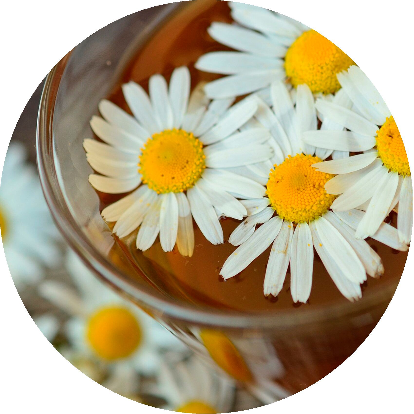 Postquam Shampooing Sensitive – Tous Types de Cheveux