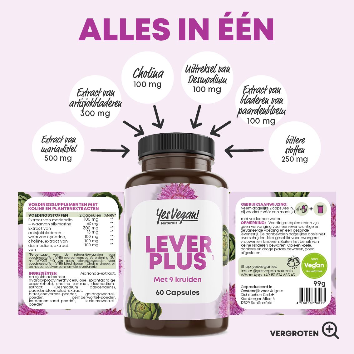 Fles 'Lever Plus' met pijlen die wijzen naar ingrediënten zoals mariadistel (500mg) en choline (100mg).
