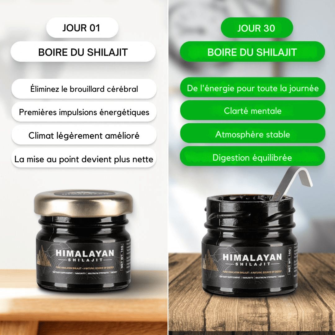 Deux pots de Shilajit et cuillères doseuses. Texte : Jour 01 et Jour 30. Graphiques avec avantages : concentration, énergie, clarté.