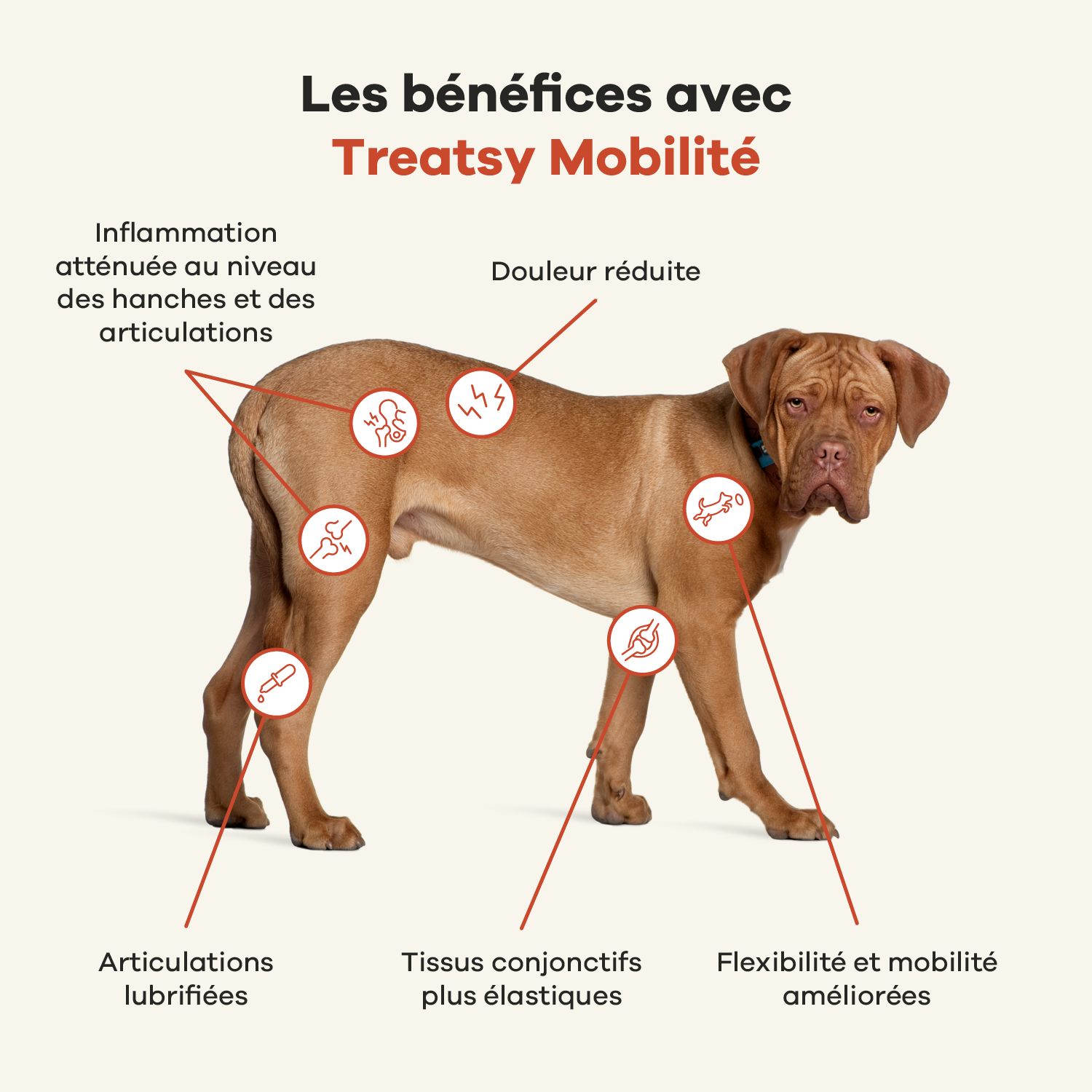 Graphique des avantages de Treatsy Mobilité. Moins de douleur, meilleure flexibilité.