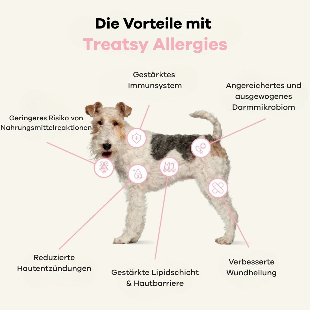 Chien avec texte. Diagramme des avantages de "Treatsy Allergies". Diagramme avec icônes.