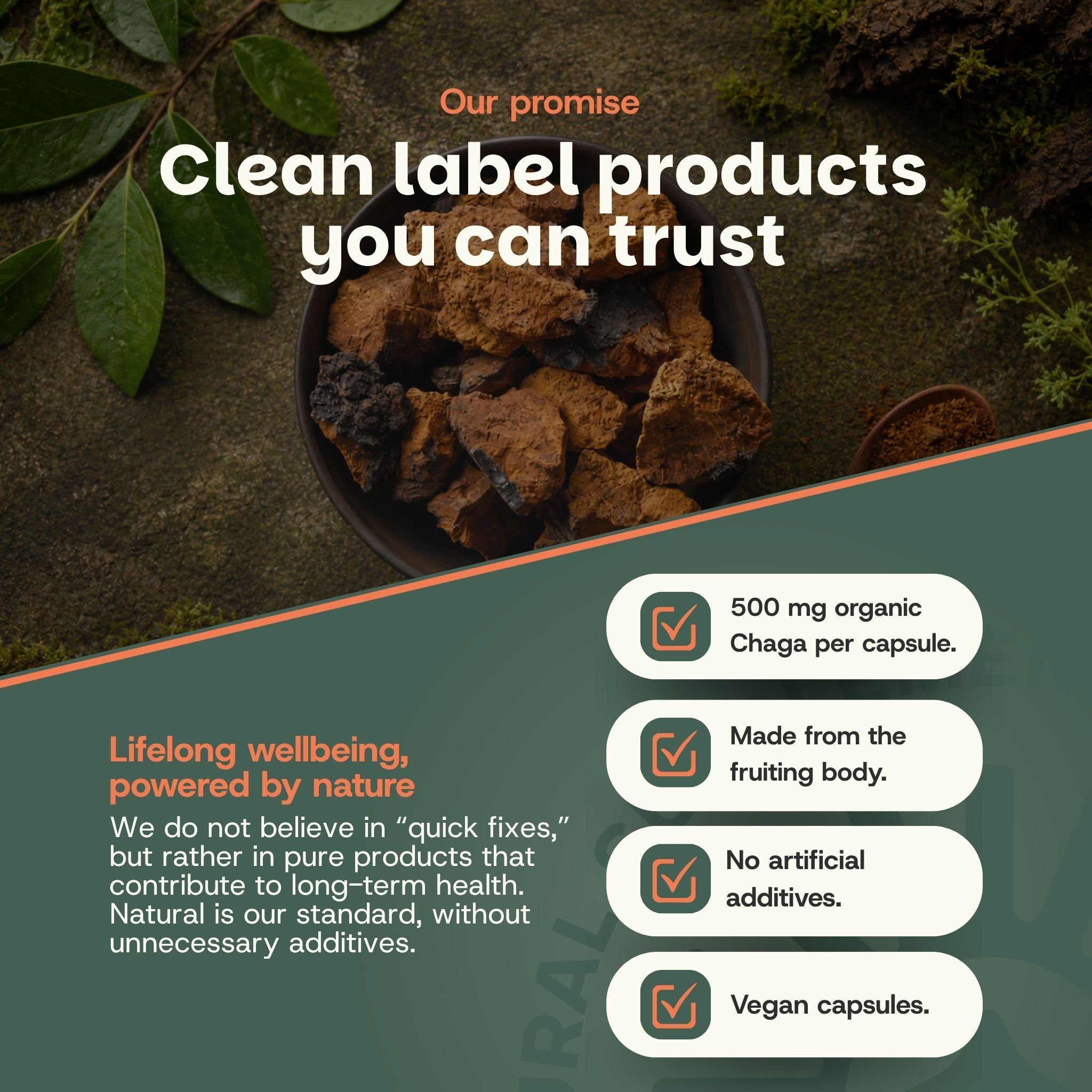 Liste des ingrédients pour gélules de Chaga : 500mg de Chaga biologique, gélule HPMC. Convient aux végétariens et végétaliens.