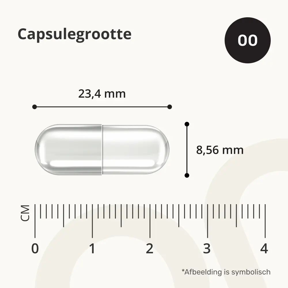 Capsule, transparant, 23,4 mm lang, 8,56 mm diameter. Afmetingen in mm. Maat 00.