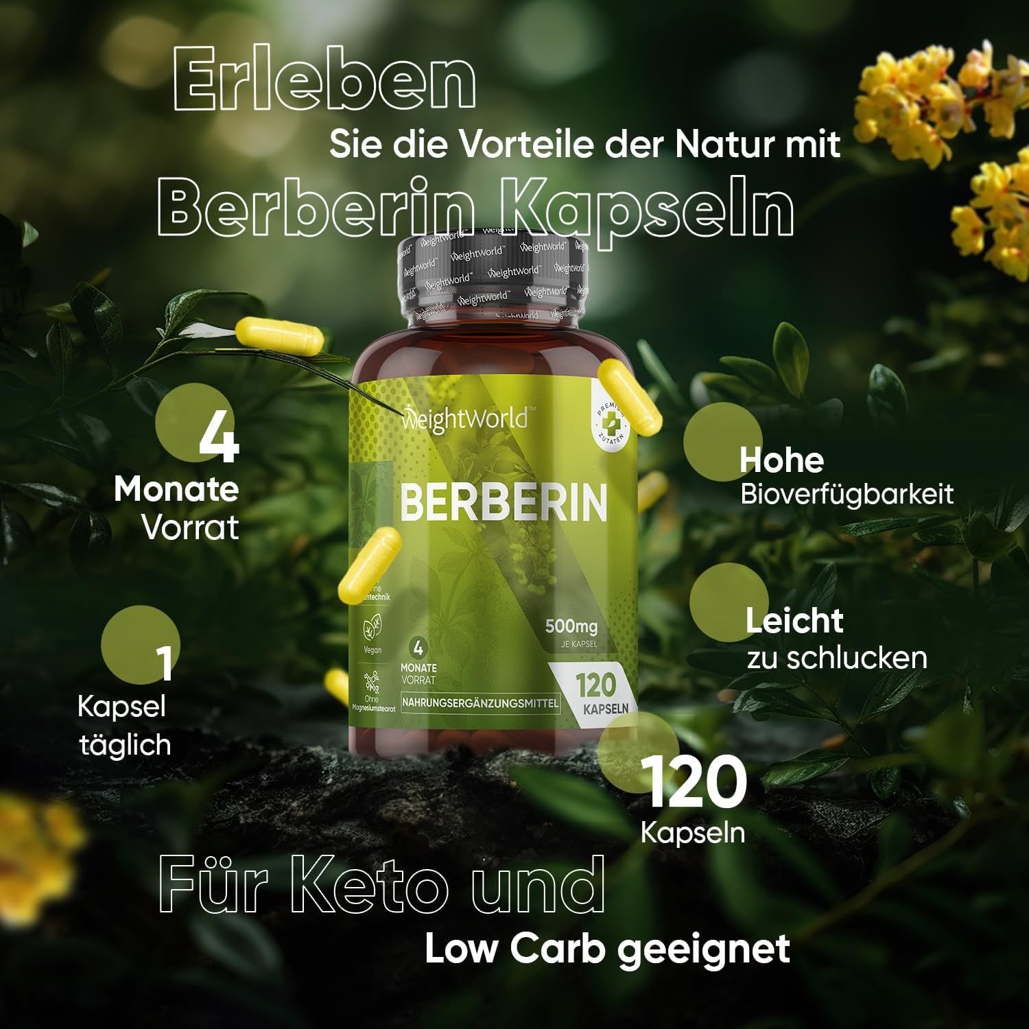 Image du produit gélules de berbérine en flacon. Contient des informations sur les ingrédients et les caractéristiques.