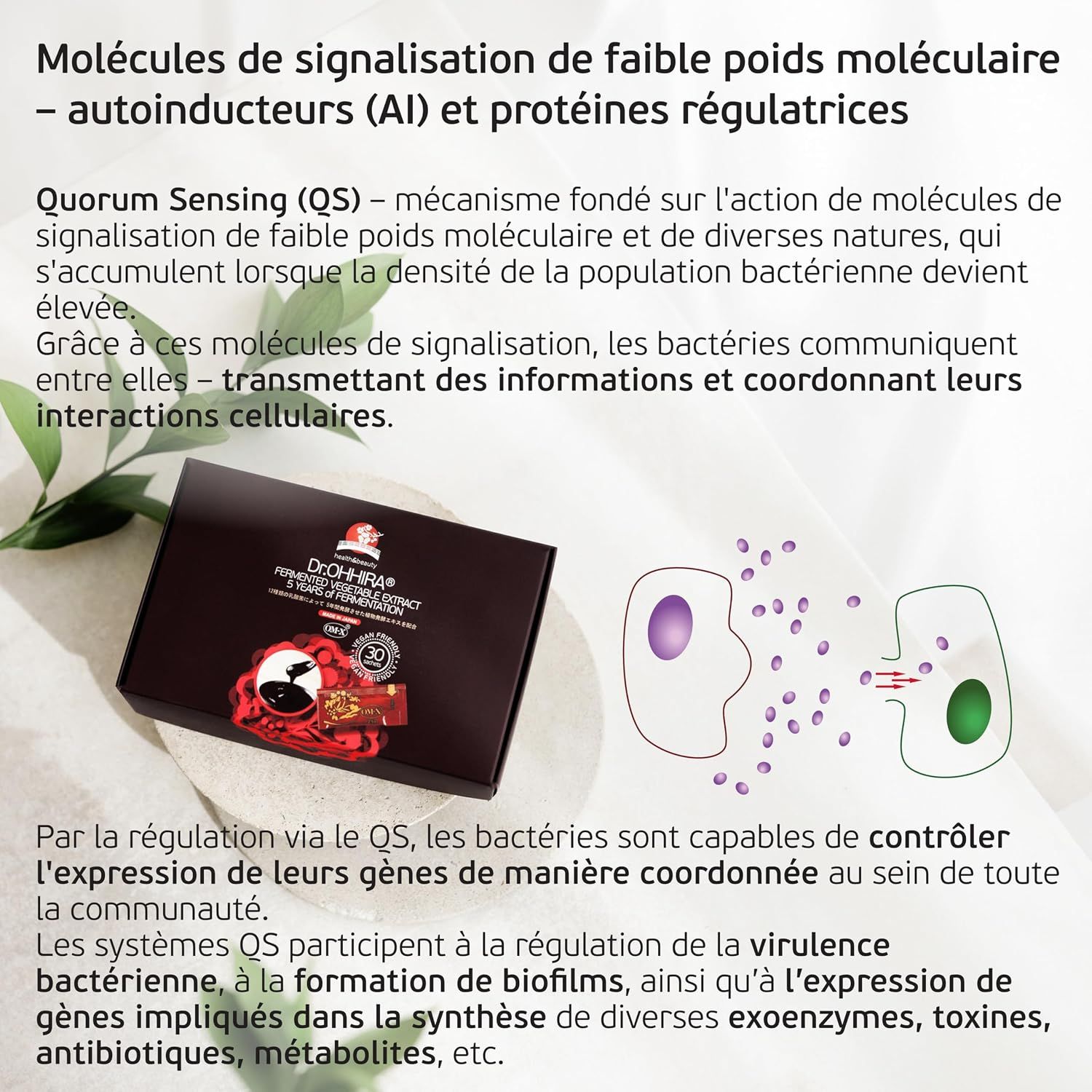 Boîte cadeau brun foncé avec sceau rouge et sceaux imprimés sur le devant.