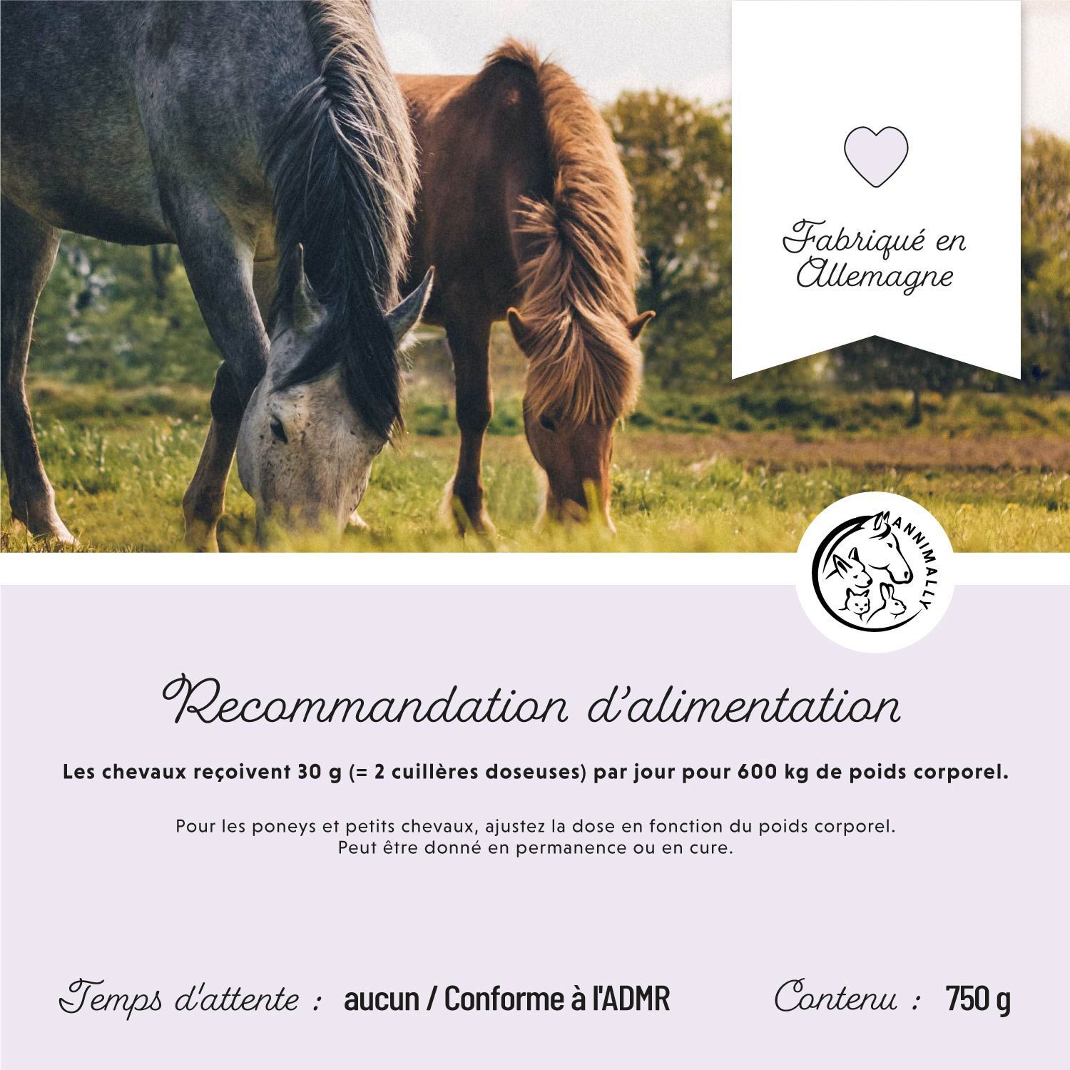 Texte sur fond violet clair. Chevaux dans un champ. Texte: Recommandations d'alimentation. Contenu: 750 g. Fabriqué en Allemagne.