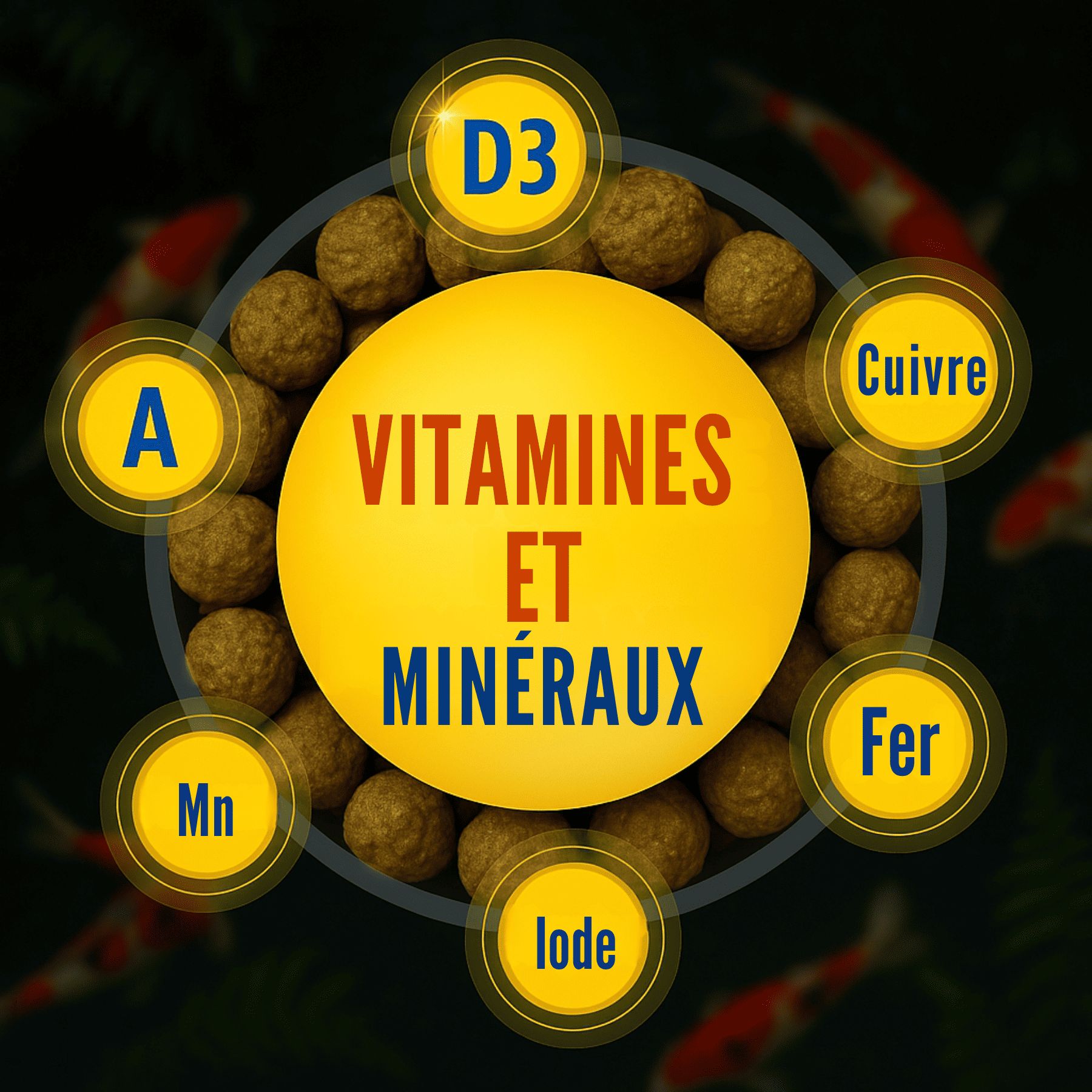 Vitamines et minéraux dans les granulés KI-JA-KO Color 3 mm. Disposition circulaire.