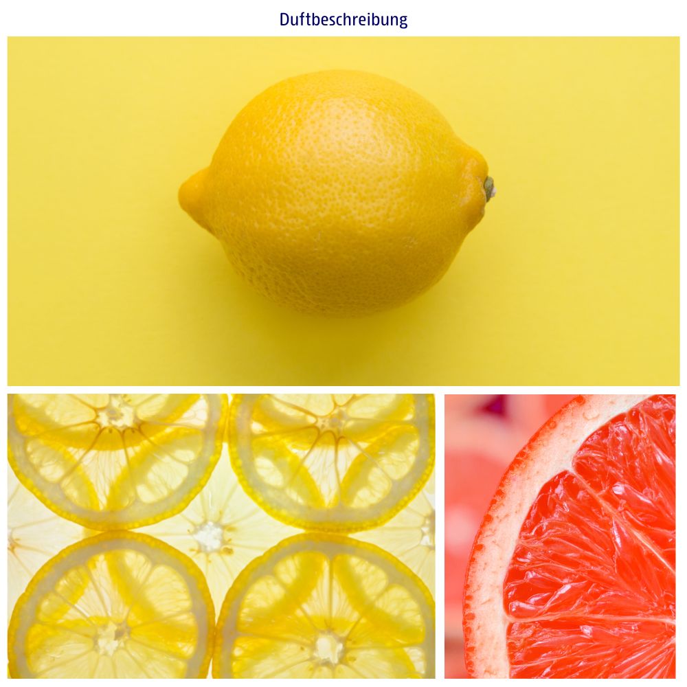 Citroen en citroenschijfjes op gele achtergrond. Grapefruit-doorsnede. 'Geurbeschrijving' bovenaan.