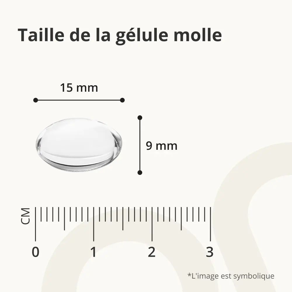 Taille d'une gélule molle : 15 mm de long, 9 mm de large. Échelle graduée en centimètres.