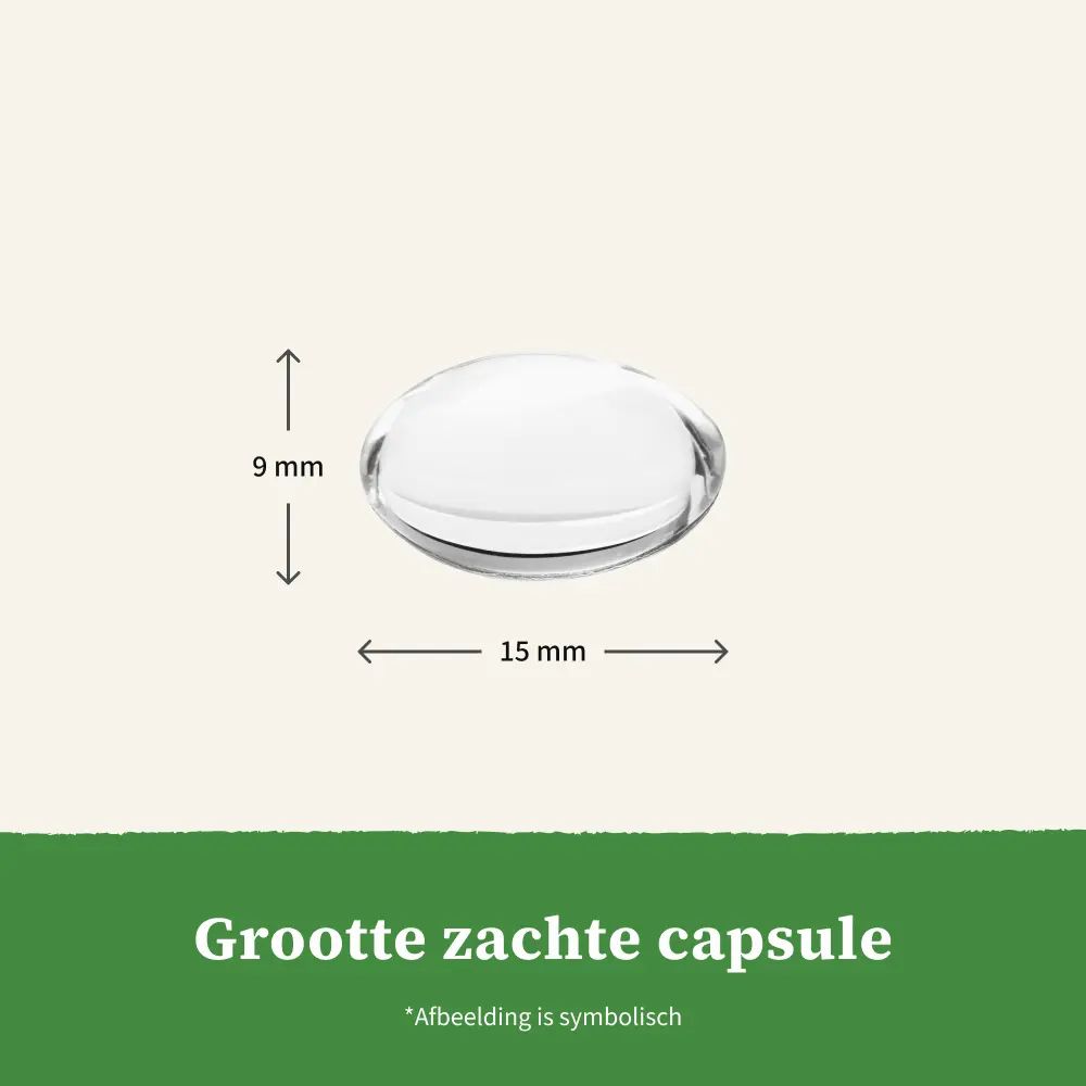 Capsule, 15 mm lang, 9 mm breed. Afbeelding is symbolisch.