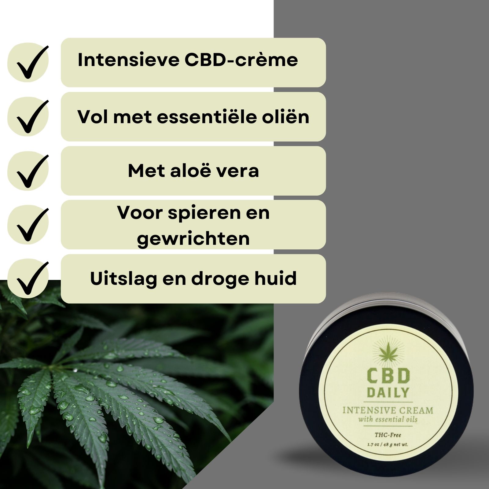 Potje crème, naast tekst. Tekst: Intensieve CBD-crème, essentiële oliën, aloë vera.