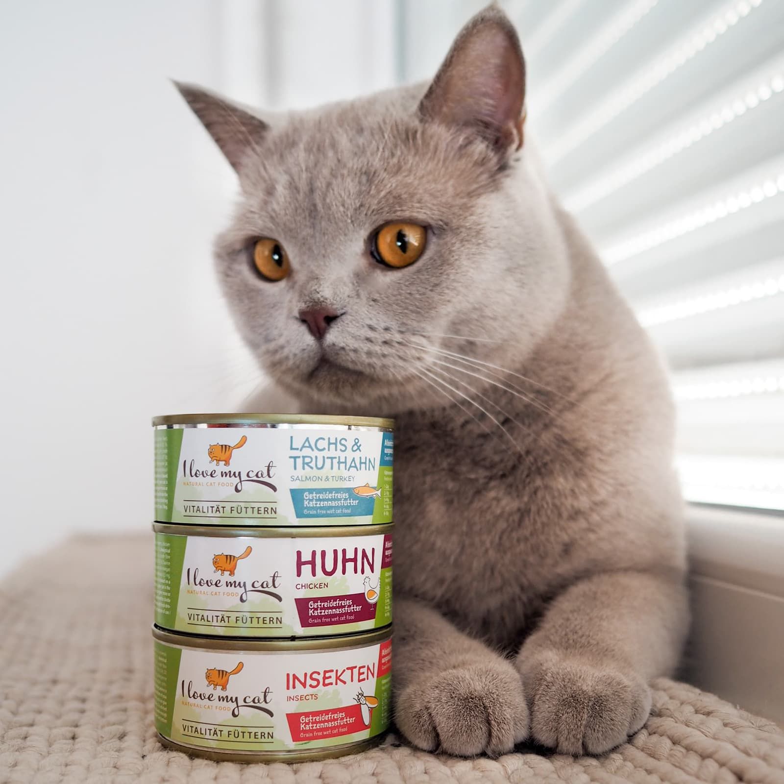 Trois boîtes de nourriture pour chats empilées. Inscription : I love my cat. Variétés : Saumon & Dinde, Poulet, Insectes. Chat à côté.