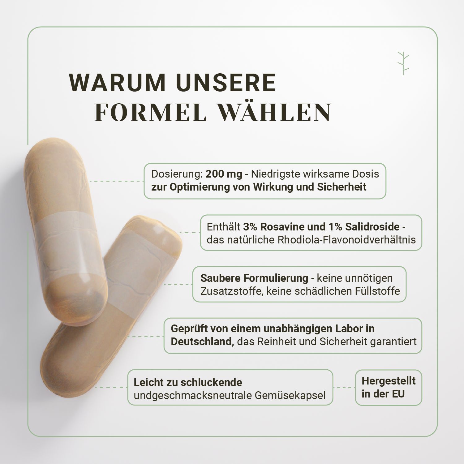 Twee Rhodiola Rosea capsules. Tekst: Waarom onze formule kiezen, dosering 200mg, 3% Rosavine, 1% Salidroside, pure formulering, getest.