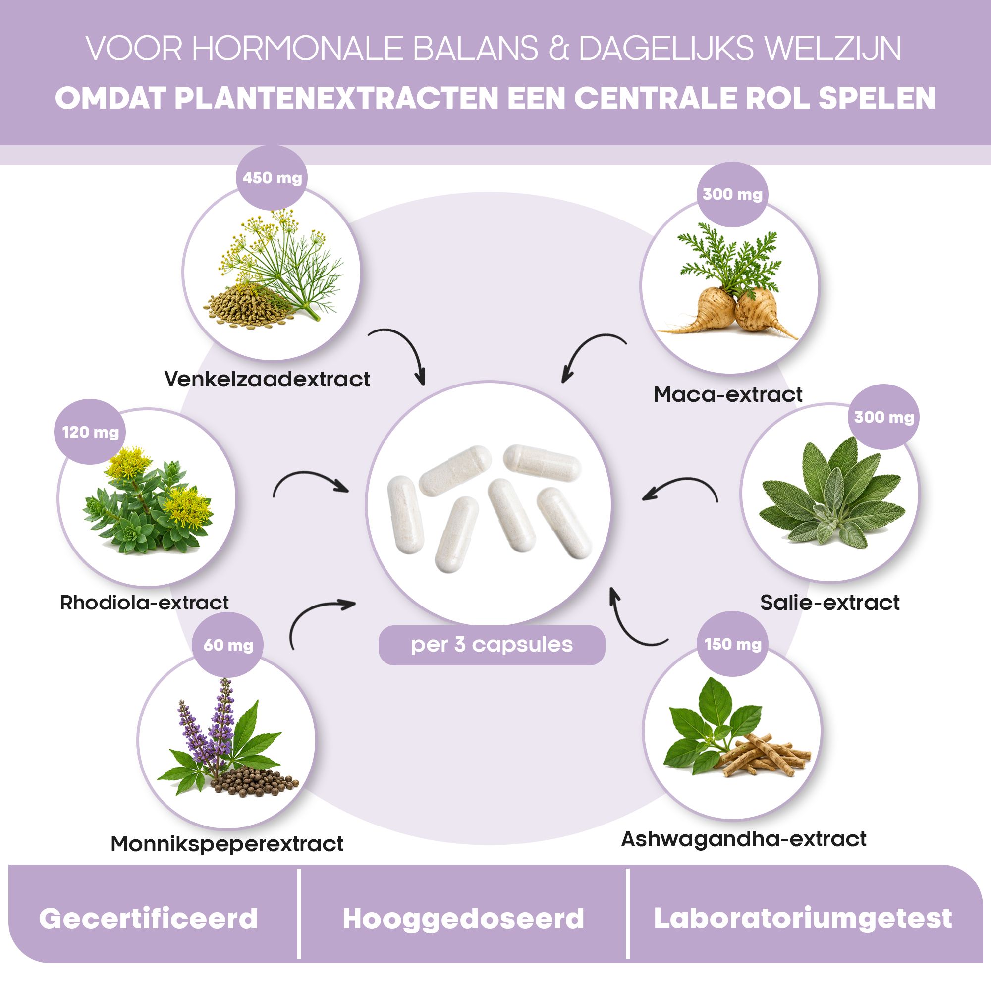 Schema ingrediënten Hormon Balance: venkel, maca, salie, ashwagandha, rhodiola, monnikspeper.