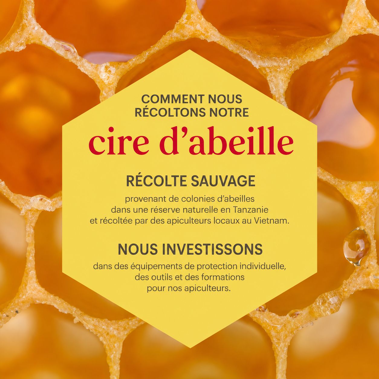 Hexagone jaune avec texte sur la récolte de cire d'abeille. Fond de rayons de miel.