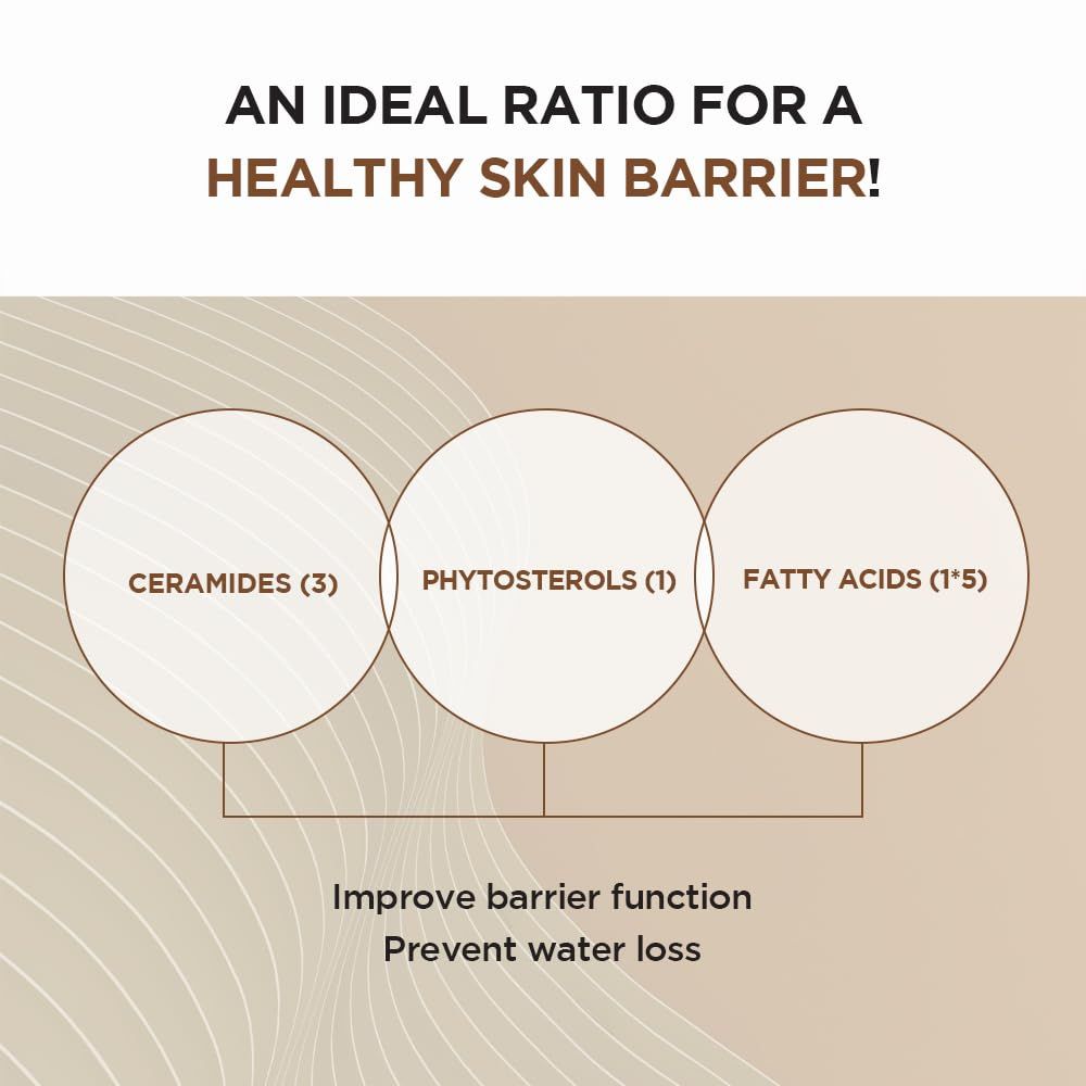 Grafiek met cirkels en tekst: Ceramiden, Fytosterolen, Vetzuren. Tekst: Gezonde huidbarrière.