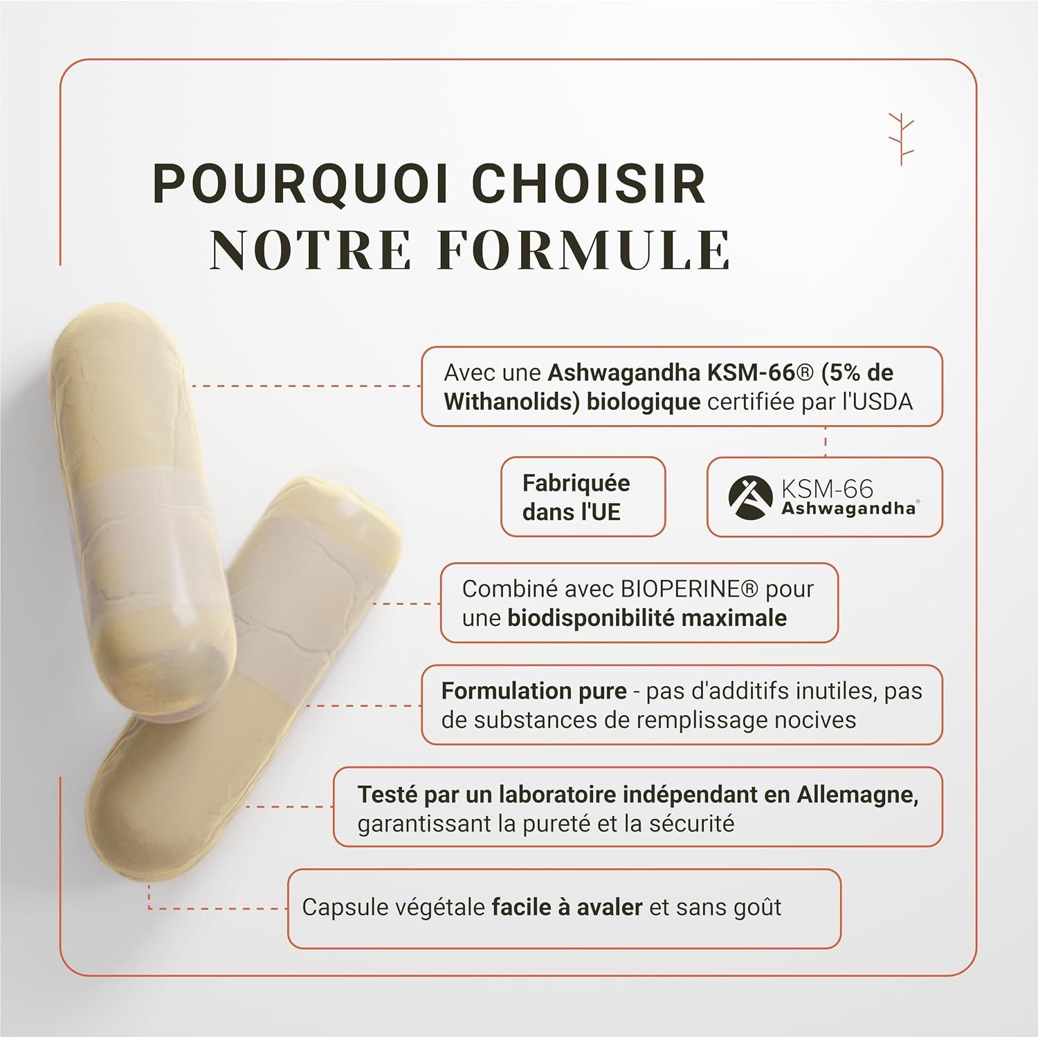 Deux capsules Ashwagandha KSM-66. Bio certifié USDA, KSM-66, Bioperine, fabriqué UE, testé en laboratoire.