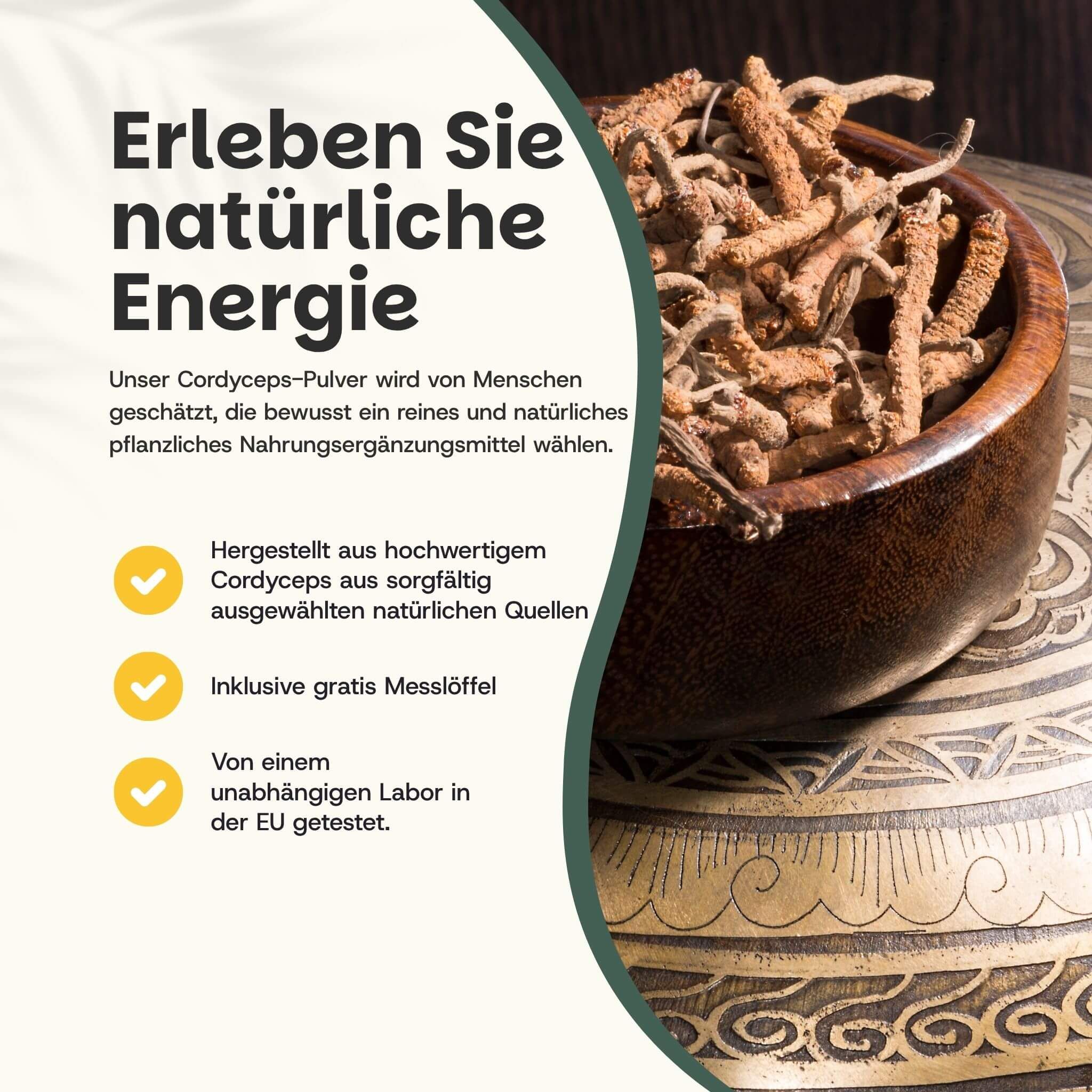 Poudre de Cordyceps séchée dans un bol en bois, avec du texte sur l'énergie naturelle et les ingrédients.