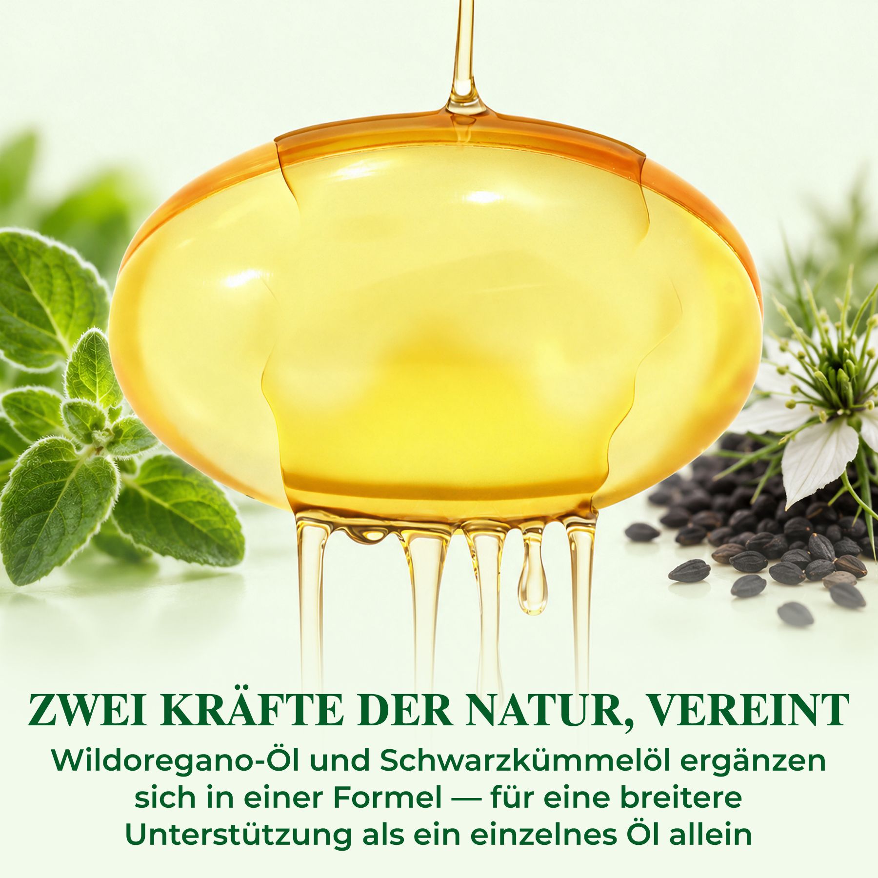 P-beauty Wilde Oregano-olie 6000 mg Zwarte Komijnolie Carvacrol Thymochinon