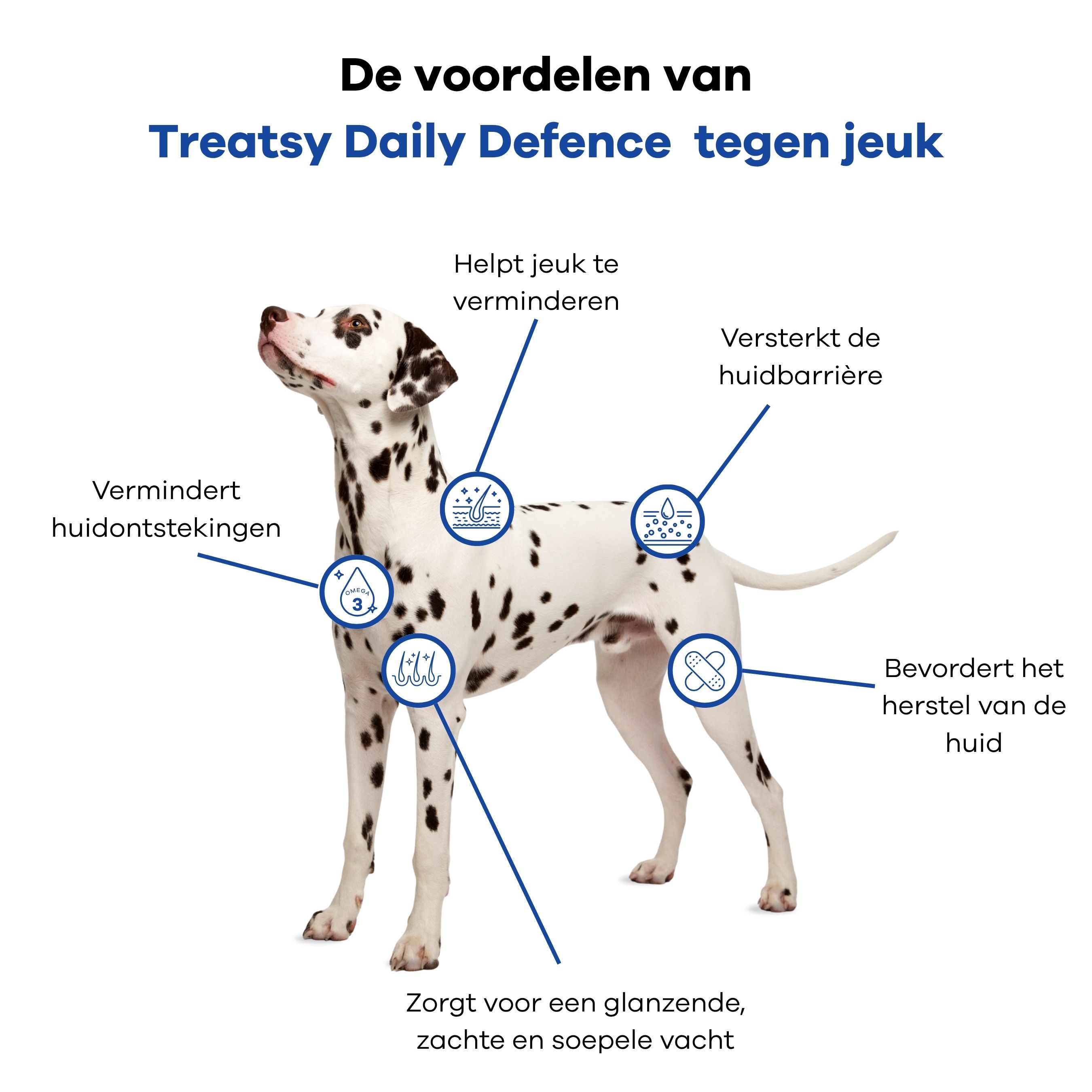 Dalmatiër met infographic. Voordelen van Treatsy Daily Defence: huid, vacht, ontsteking, wondgenezing.