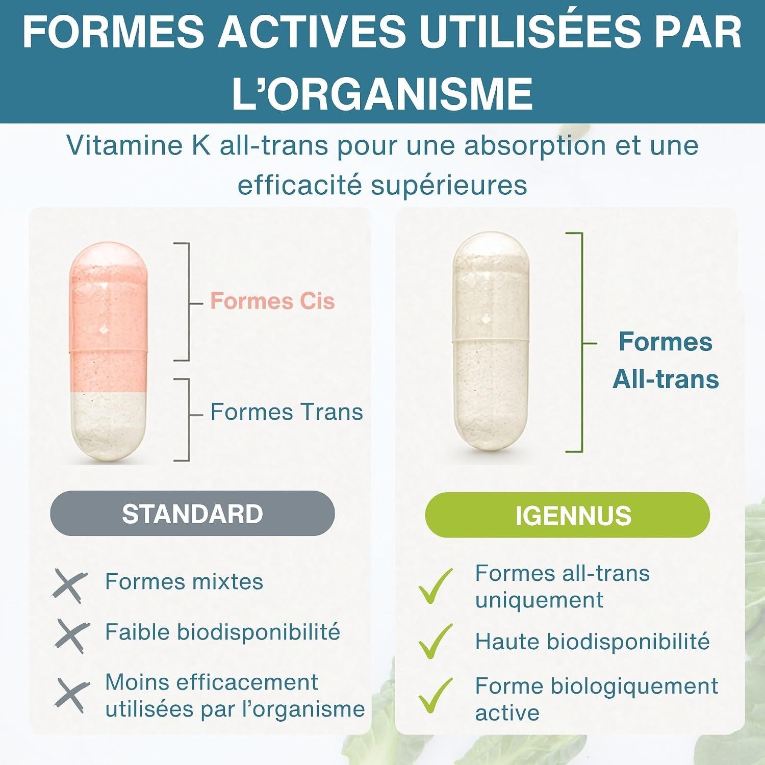 Deux gélules comparées : Standard avec formes Cis et Trans, Igennus avec formes All-trans uniquement.
