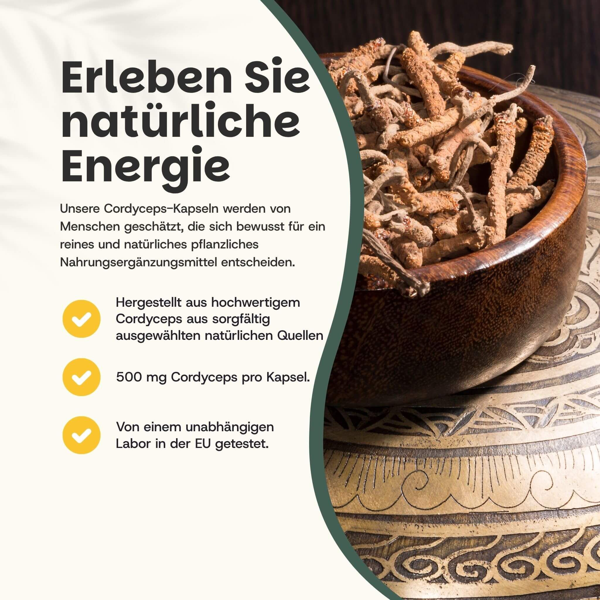 Bol de champignons Cordyceps séchés, avec du texte sur l'énergie naturelle et 500 mg de Cordyceps par capsule.