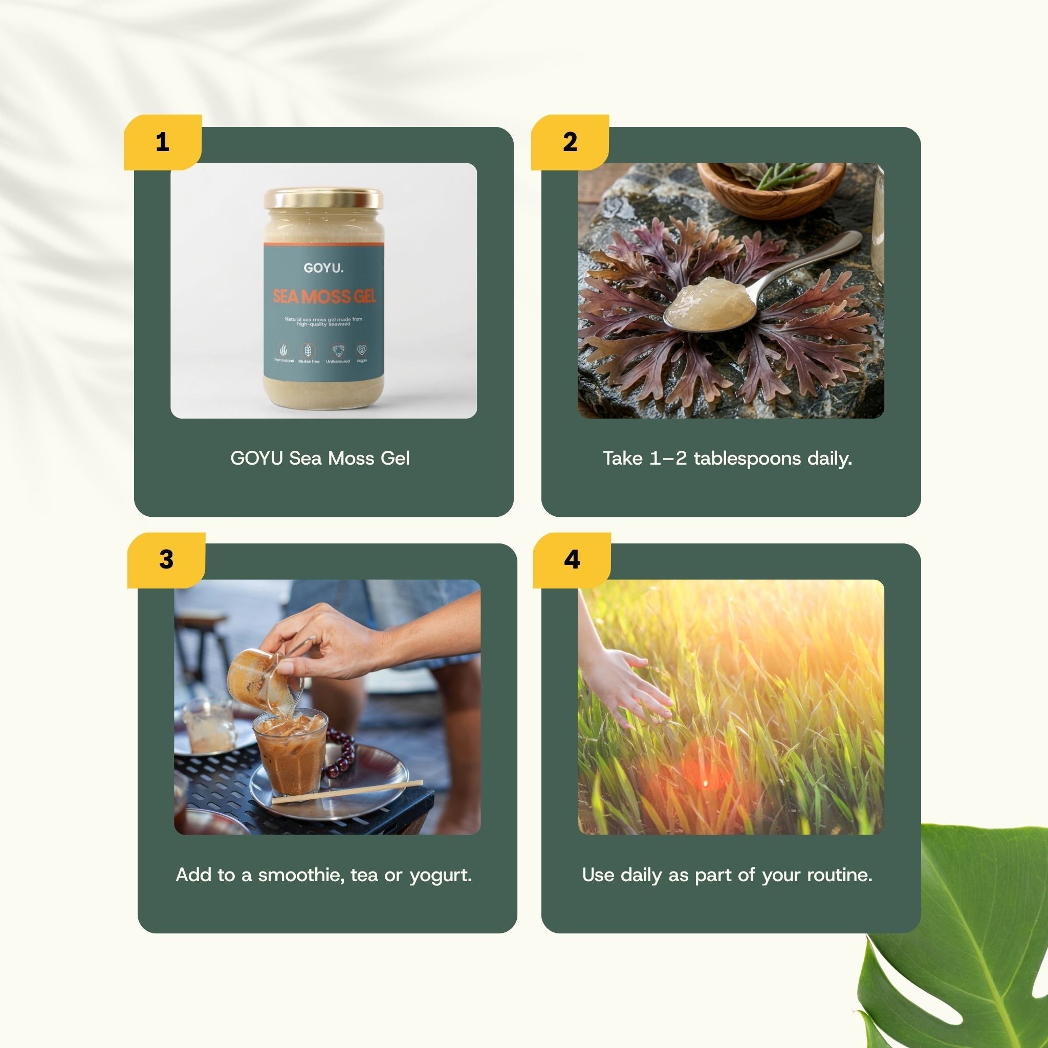 Quatre étapes pour utiliser le GOYU Sea Moss Gel, y compris la prise et le mélange.