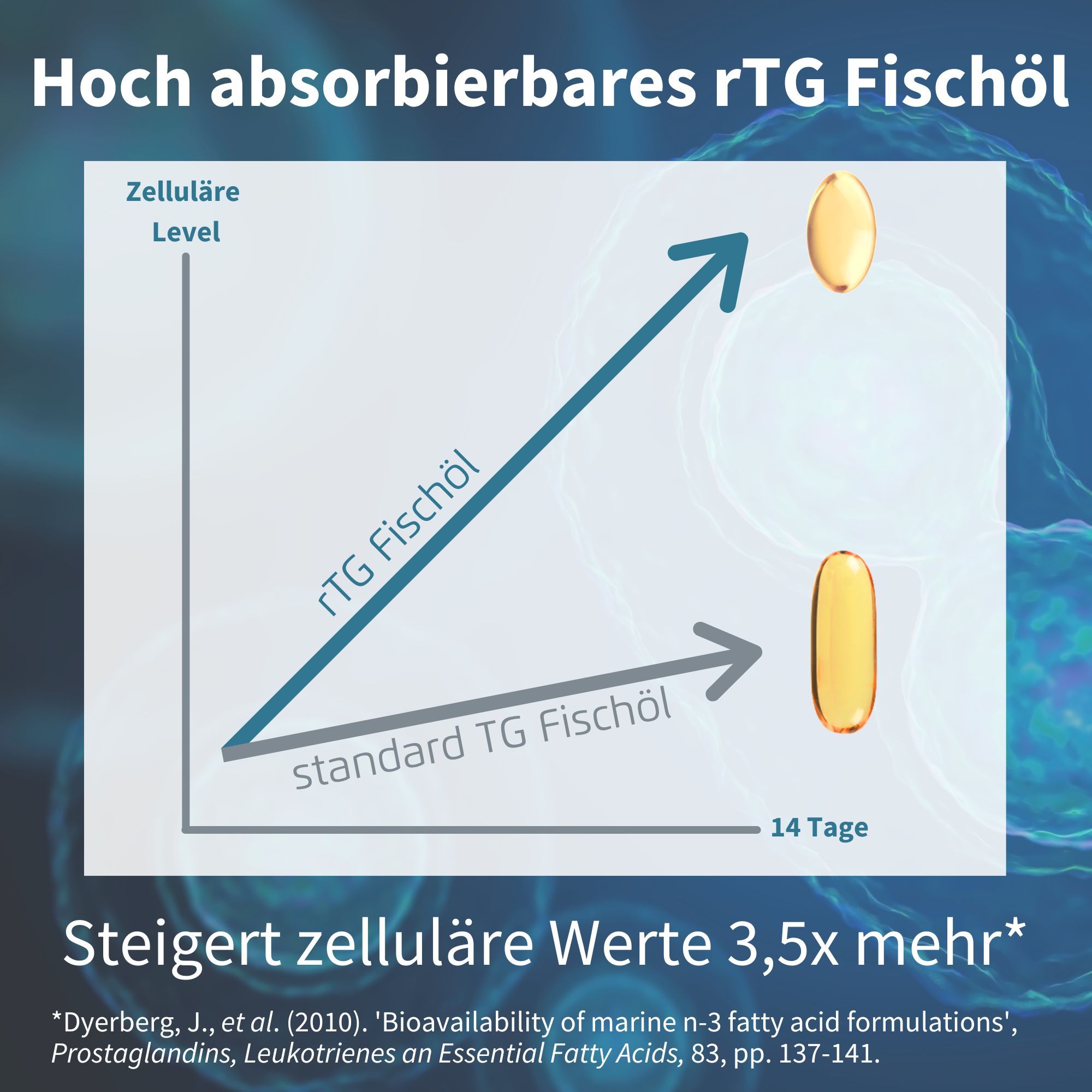 Graphique montrant des niveaux cellulaires plus élevés avec l'huile de poisson rTG par rapport à l'huile de poisson TG standard.
