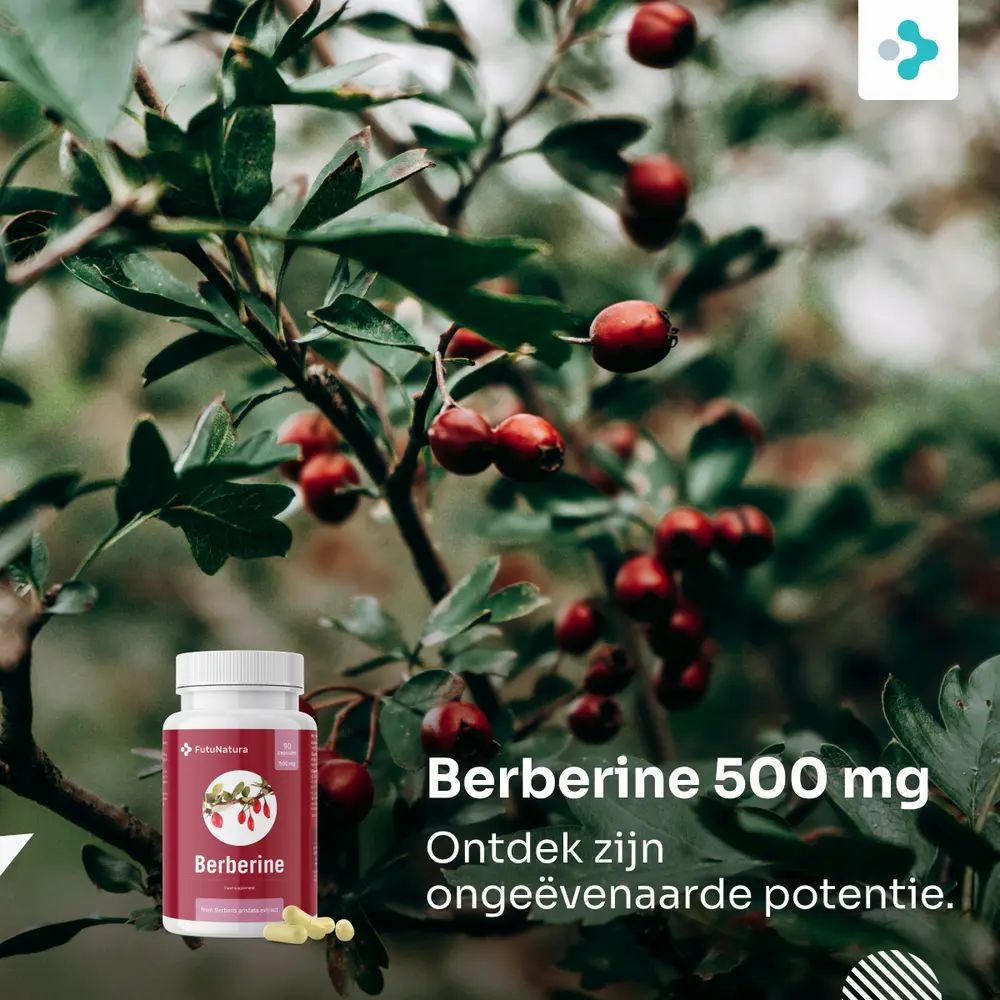 Fles met berberine capsules voor rode bessen. Tekst: Berberine 500 mg.