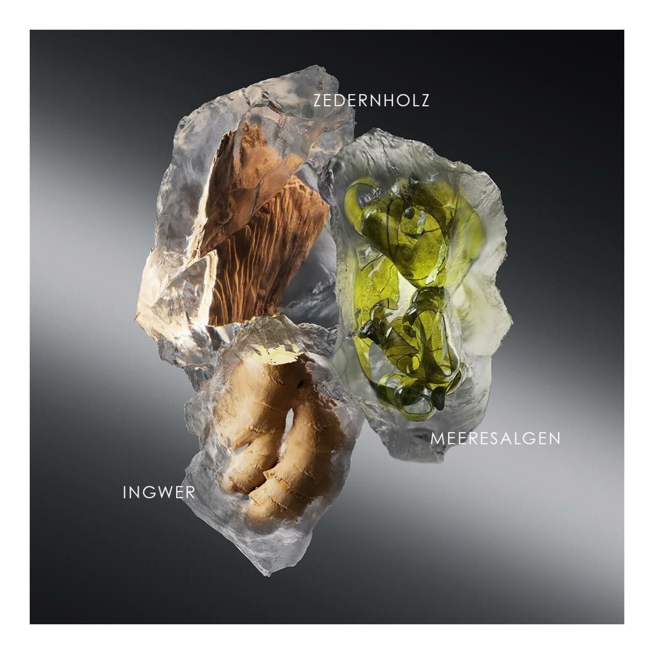 Gember, cederhout en zeewier in transparante zakjes. Opschrift: Gember, cederhout, zeewier.