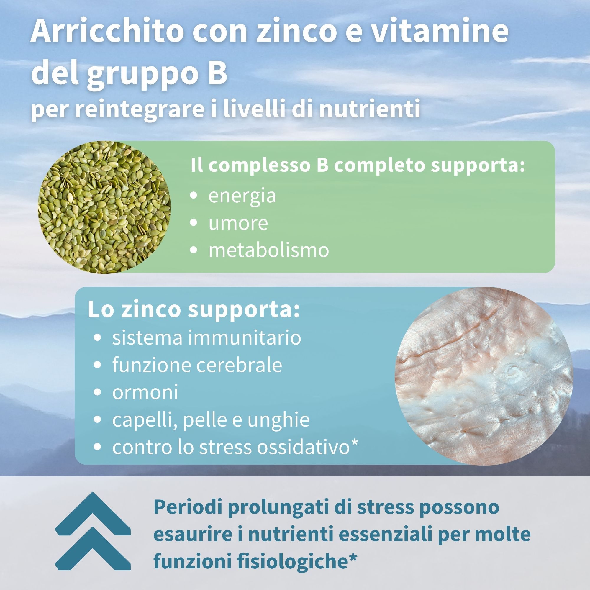 Graphique avec symboles de zinc et de vitamines B et explications sur les nutriments.