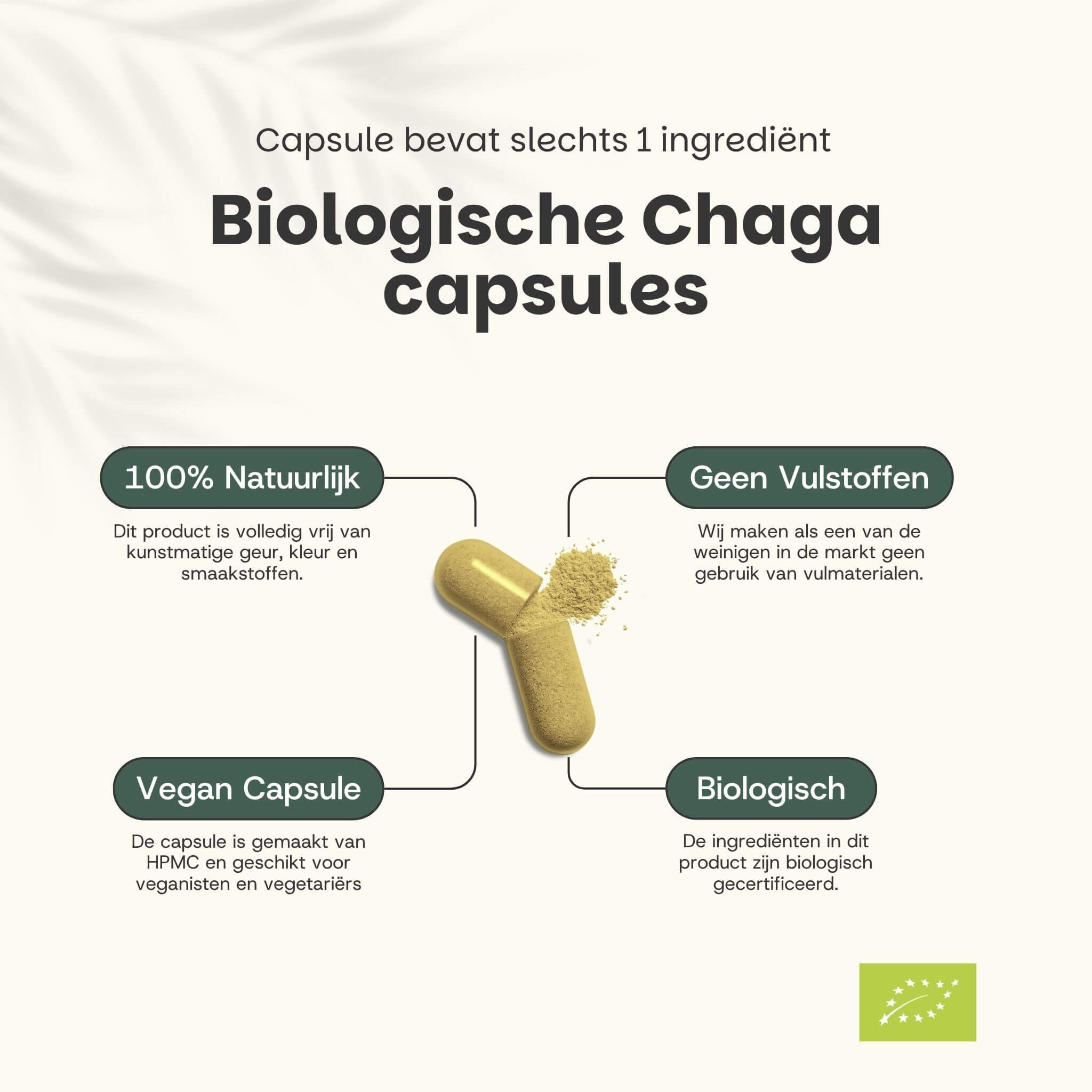 Capsule met Chaga-poeder. Tekst: 100% natuurlijk, vegan capsule, biologisch, geen vulstoffen.