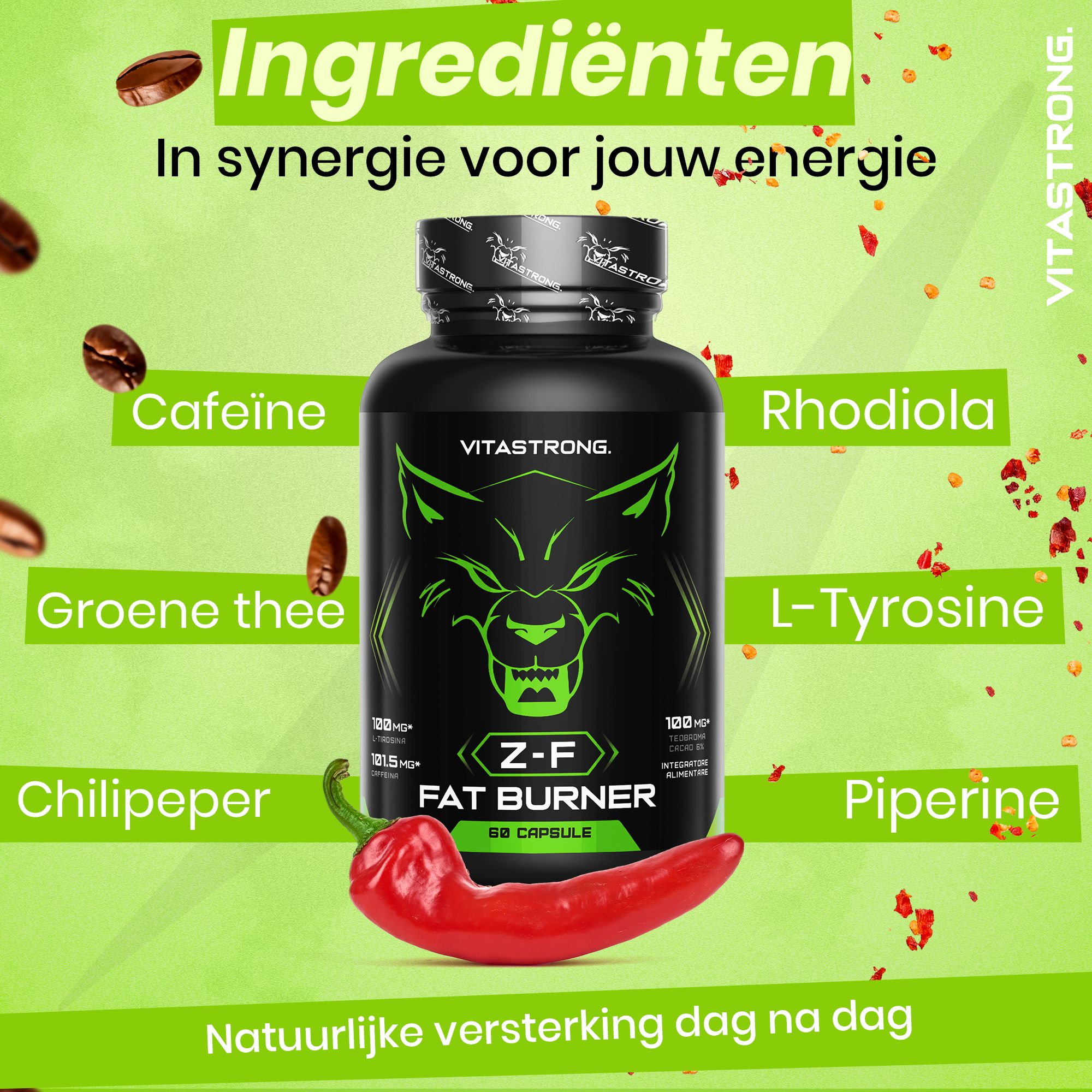 Vitastrong Z-F & DrainPure Night – Thermogeen en Nachtelijk Drainerend Supplement