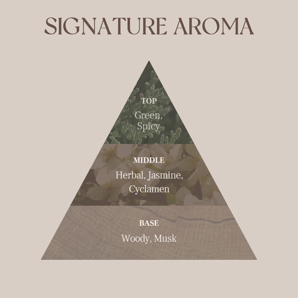 Piramidevormige grafiek met de geurnoten: groen, kruidig, kruiden, jasmijn, muskus.