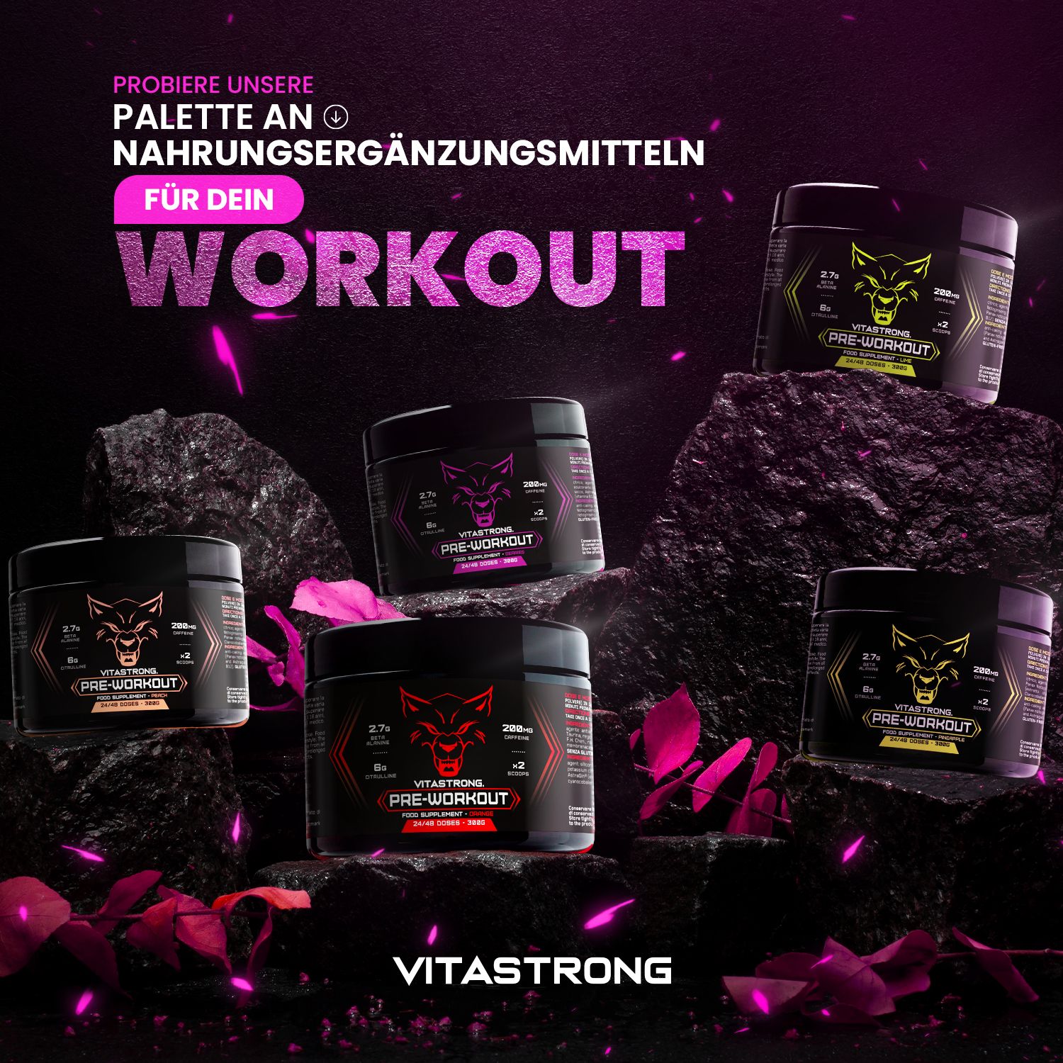 Meerdere potten Vitastrong Pre-Workout, Beeren. Geplaatst op stenen. Wolf logo en roze tekst.